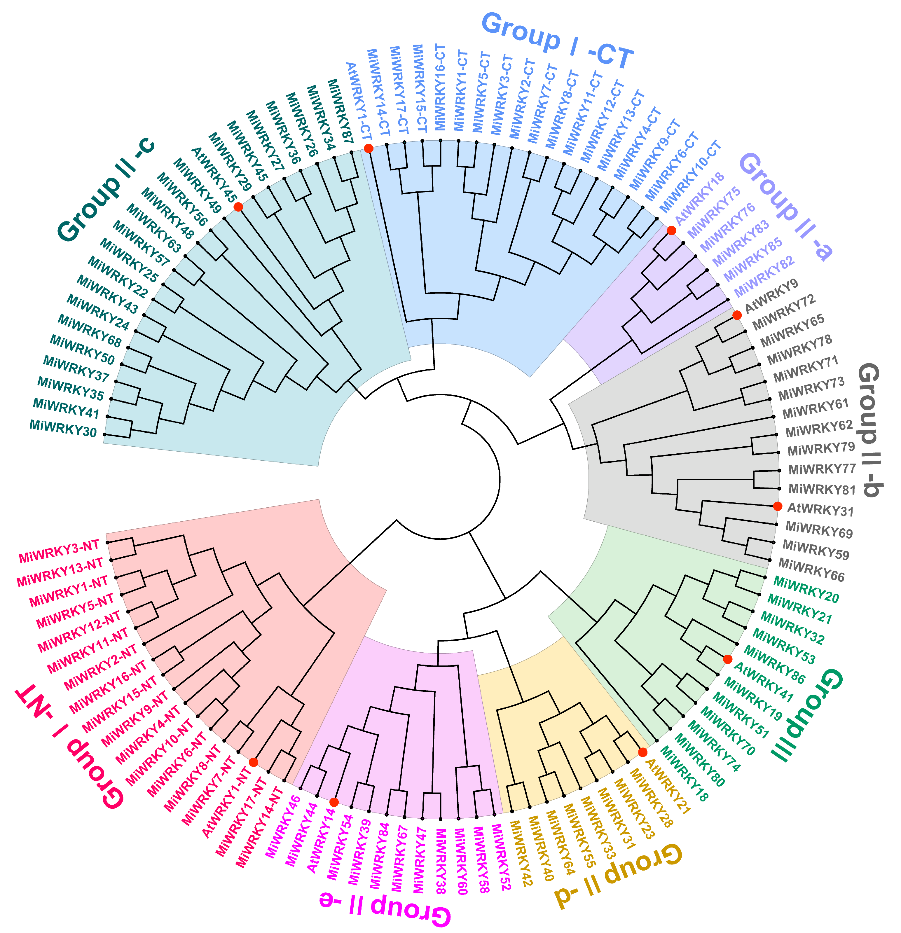 Agriculture 12 00821 g001