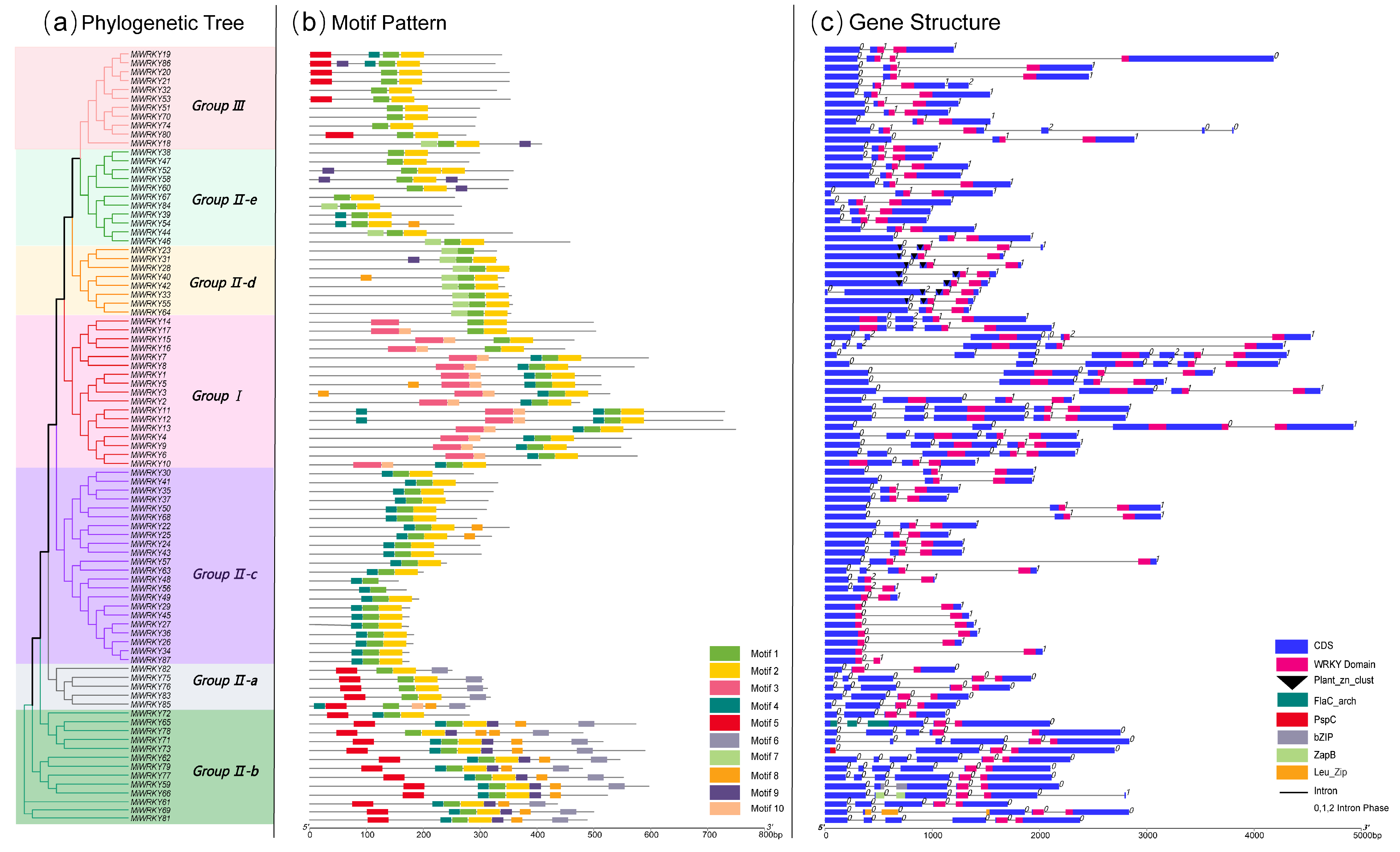 Agriculture 12 00821 g003