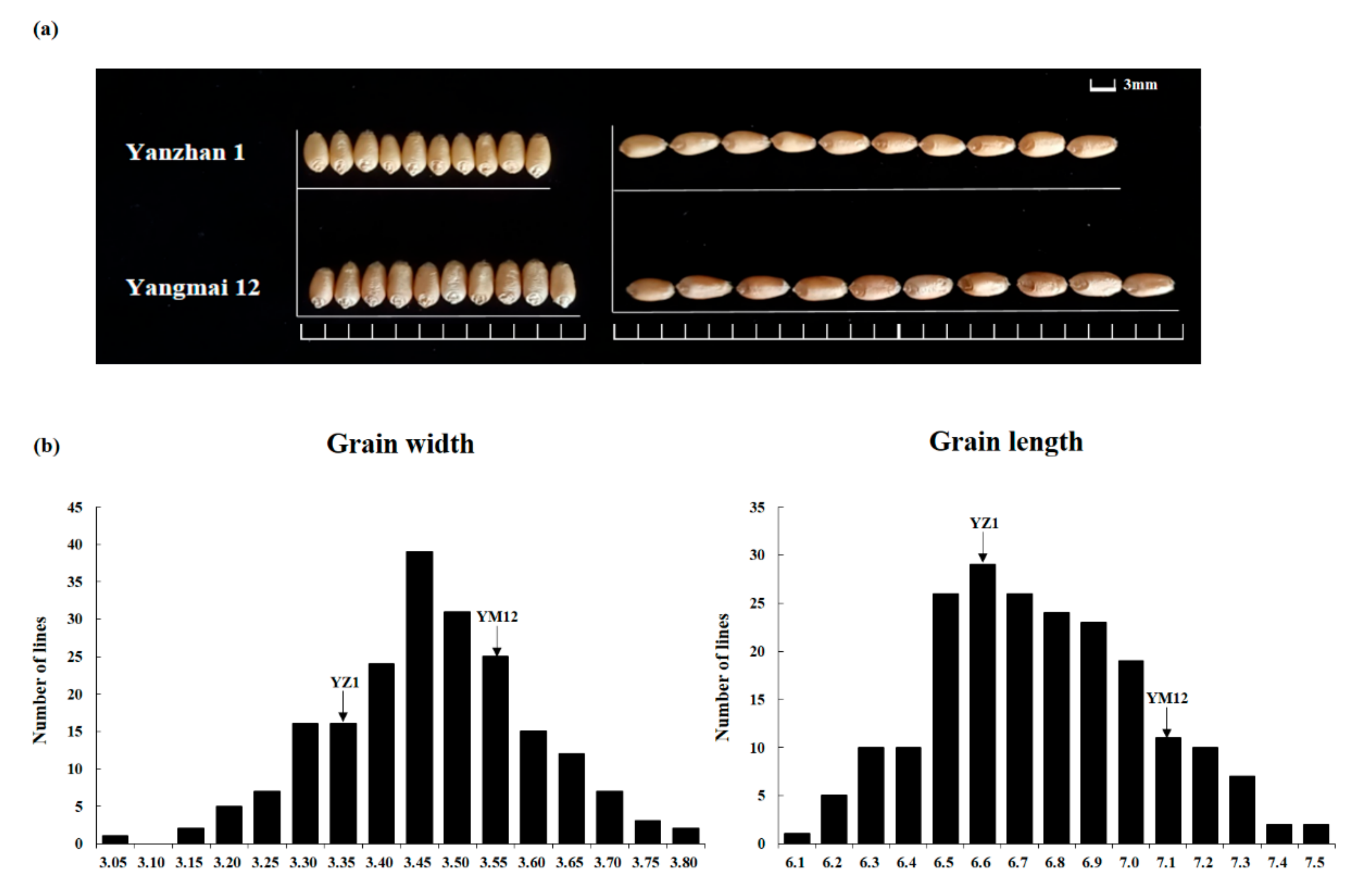 Agriculture 12 00822 g001 Agriculture 12 00822 g001
