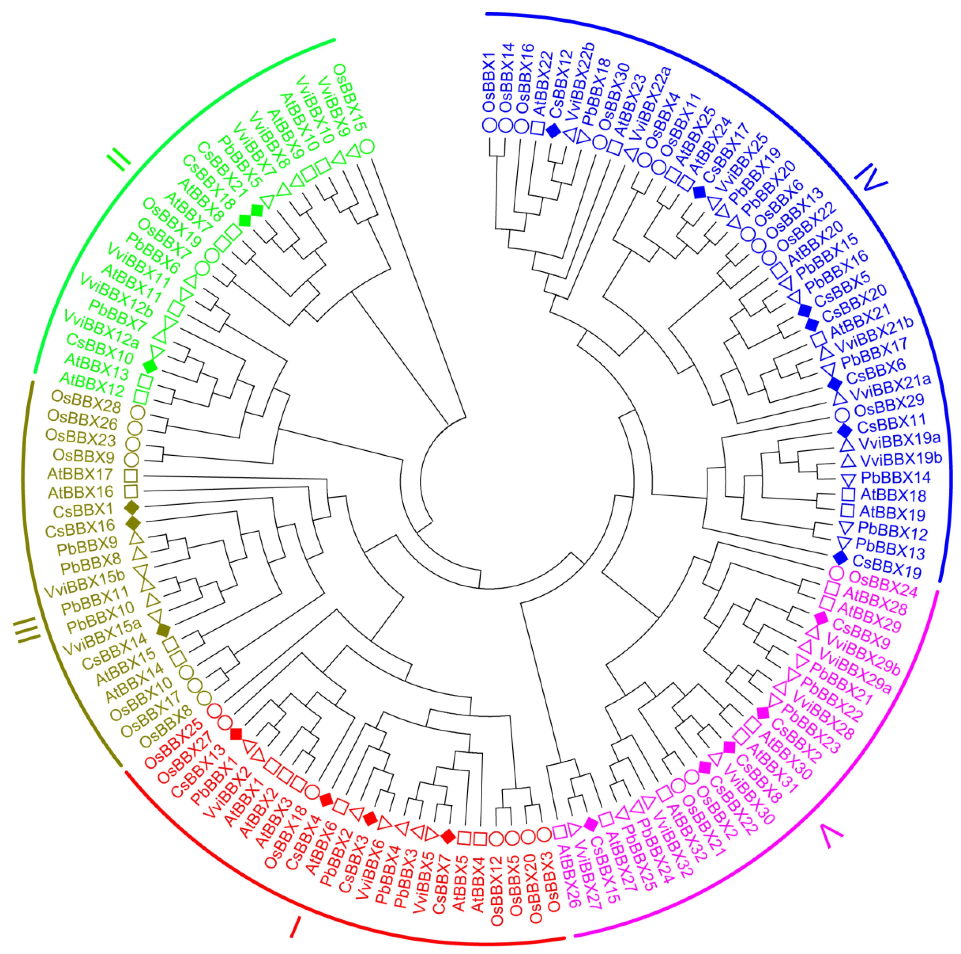 Agriculture 12 00827 g001