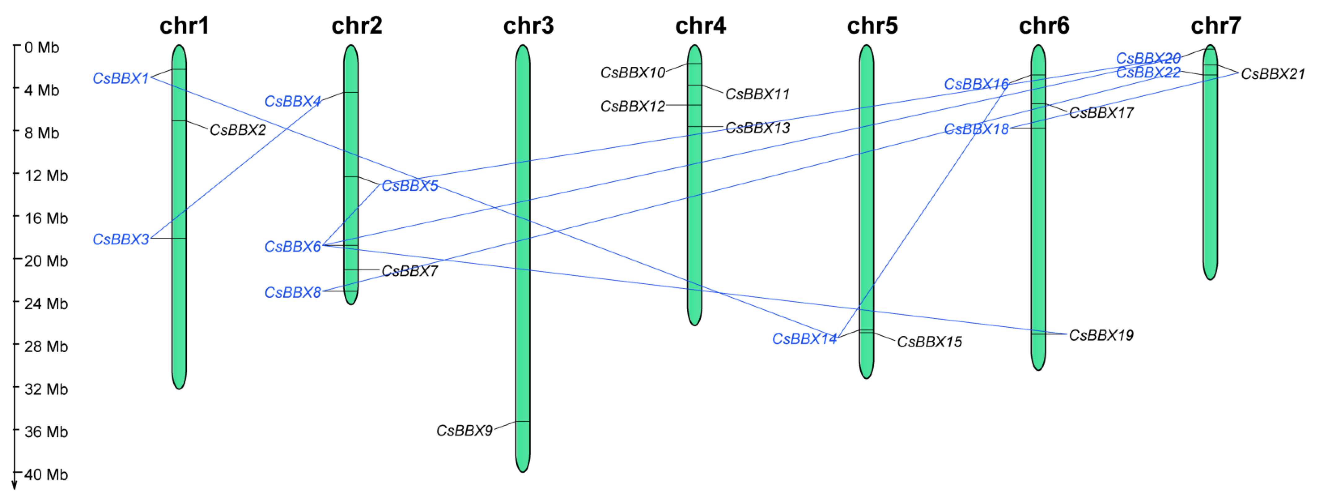 Agriculture 12 00827 g003