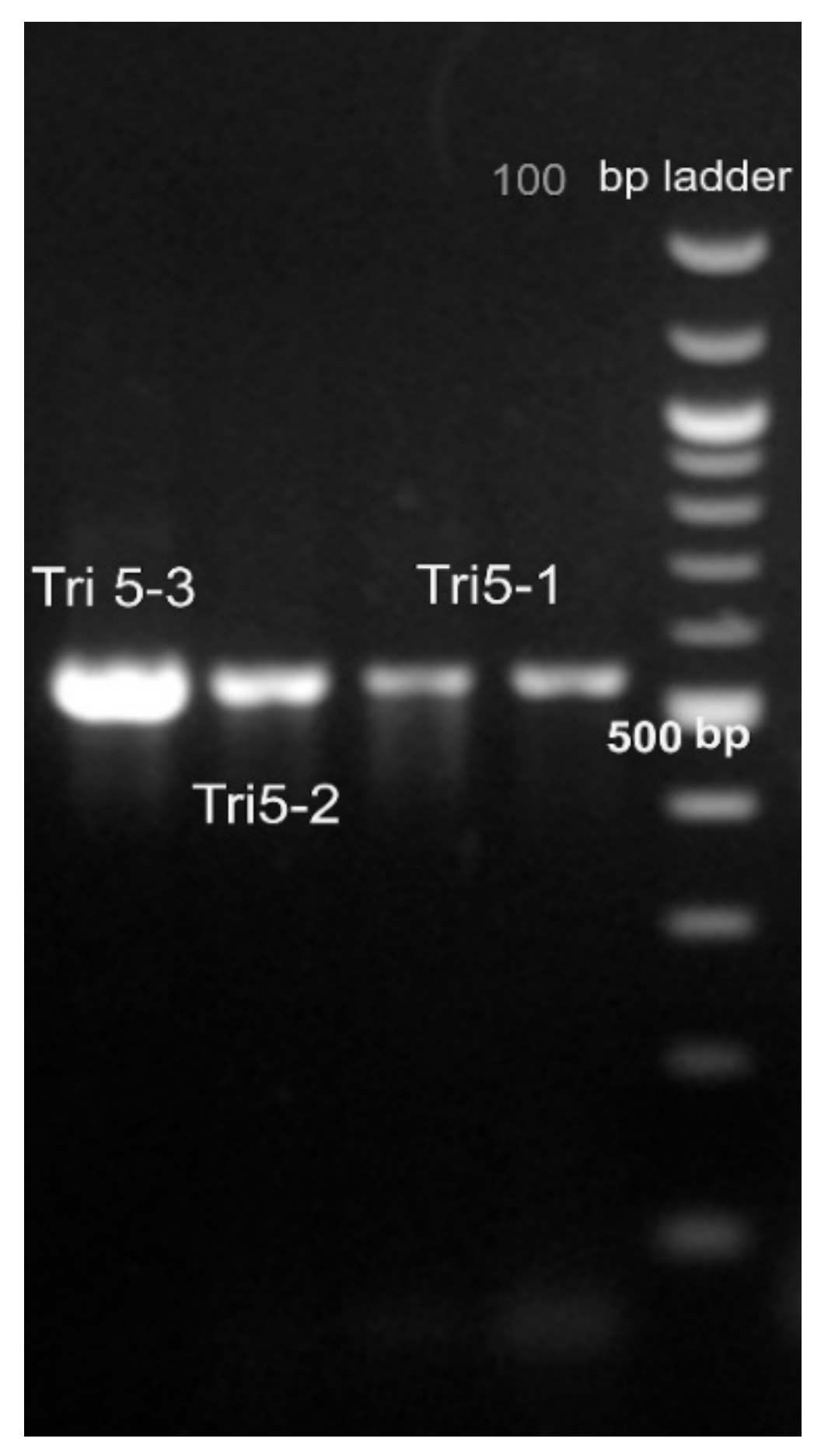 Agriculture 12 00834 g003