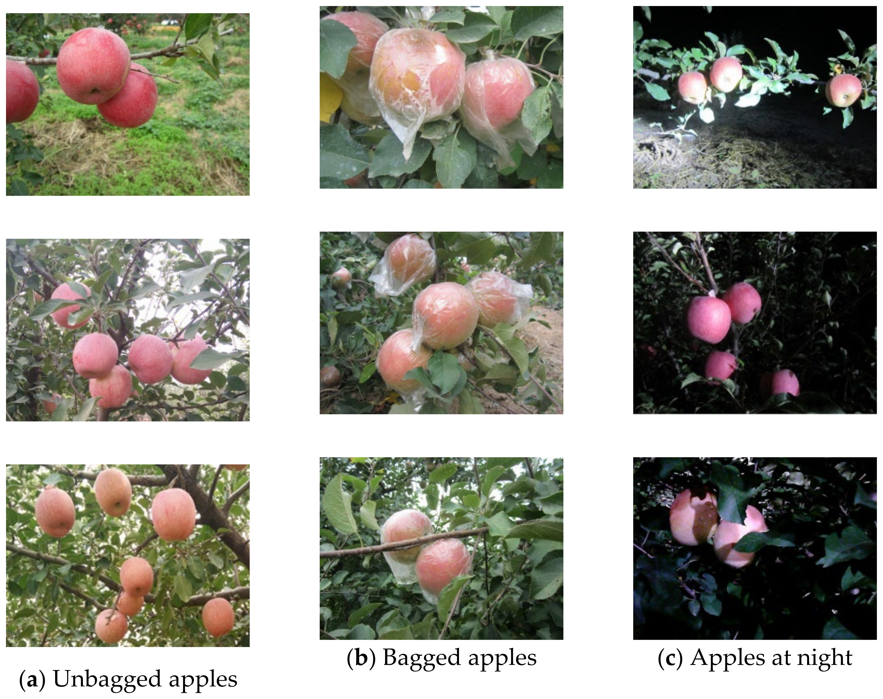 Agriculture 12 00856 g001 550