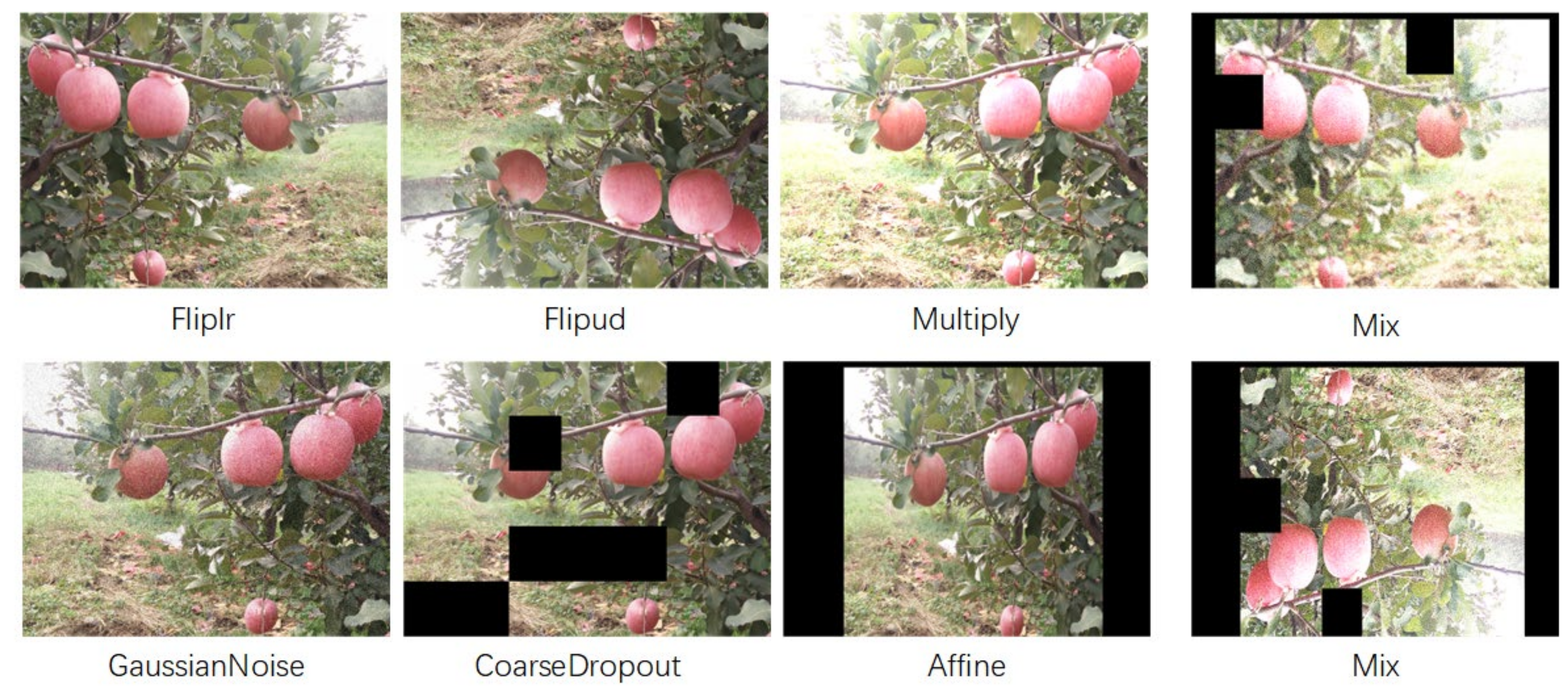 Agriculture 12 00856 g002 550