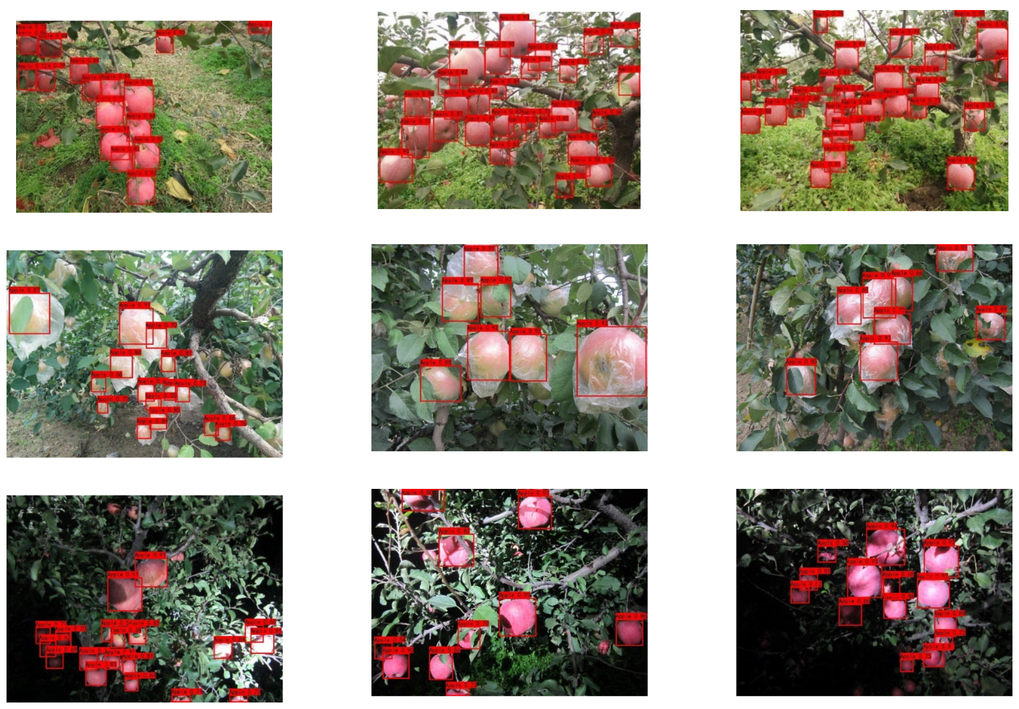 Agriculture 12 00856 g008 550