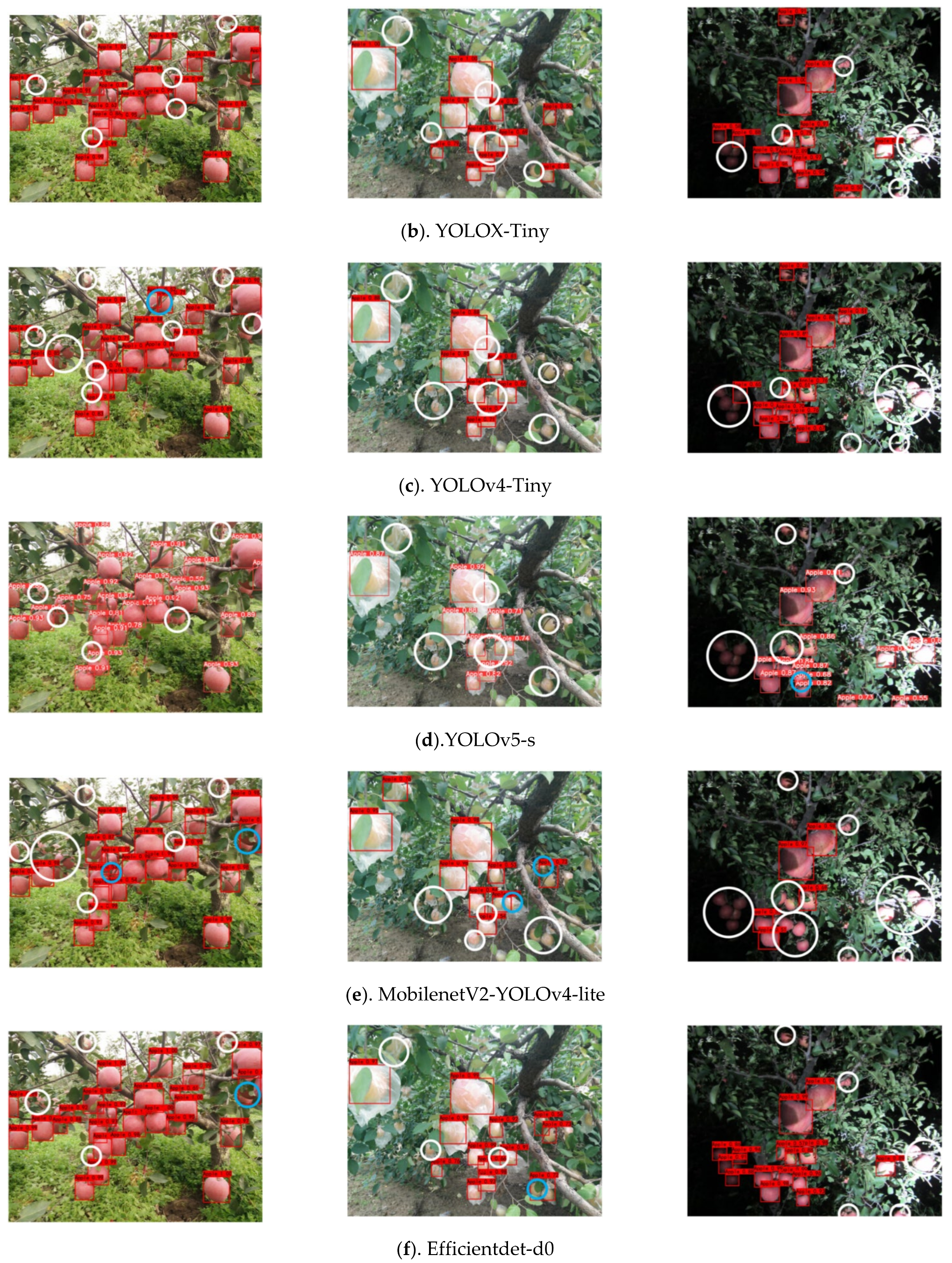 Agriculture 12 00856 g009b 550