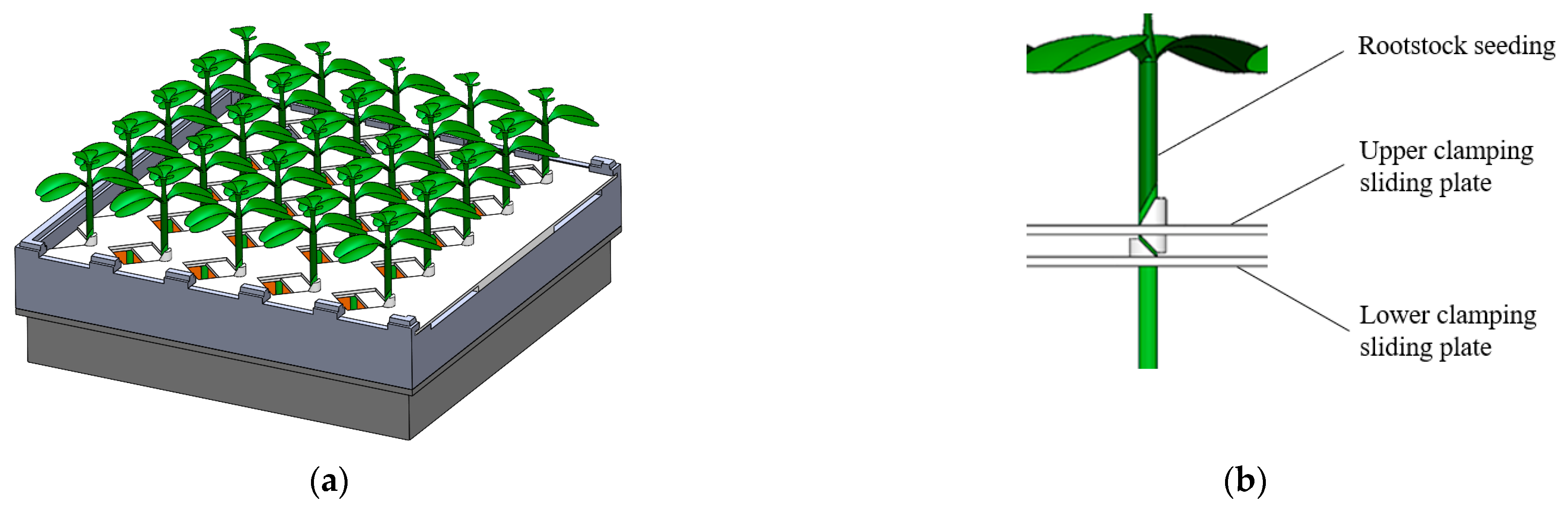 Agriculture 12 00861 g003 550