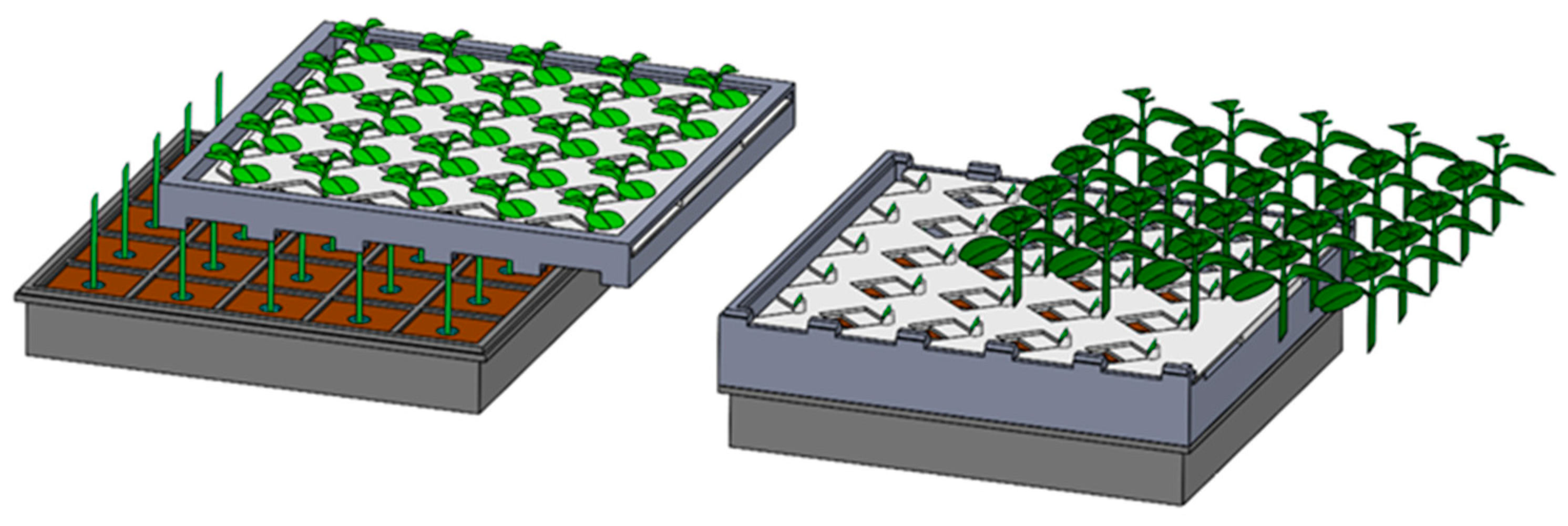 Agriculture 12 00861 g005 550