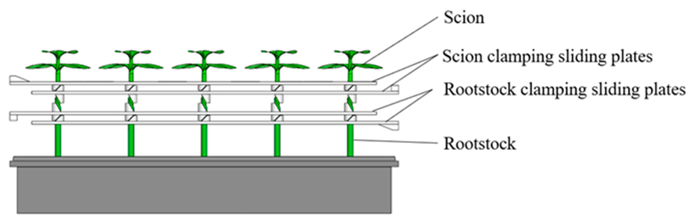 Agriculture 12 00861 g007 550