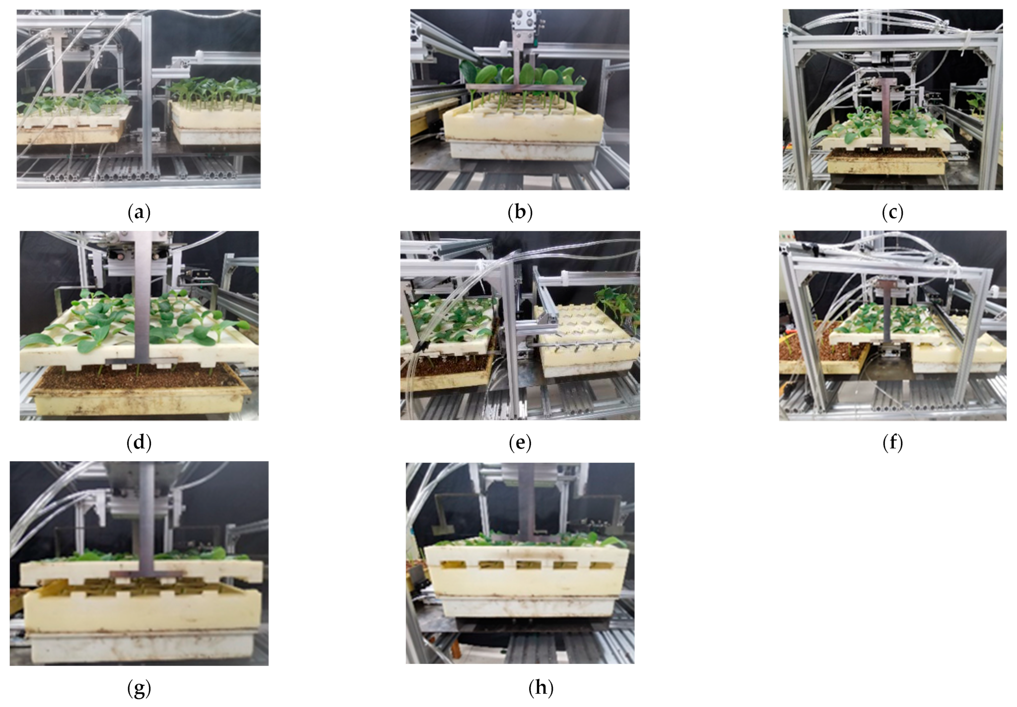 Agriculture 12 00861 g014 550