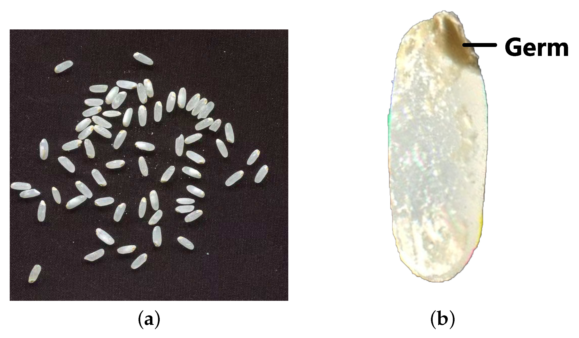 Agriculture 12 00863 g002 550