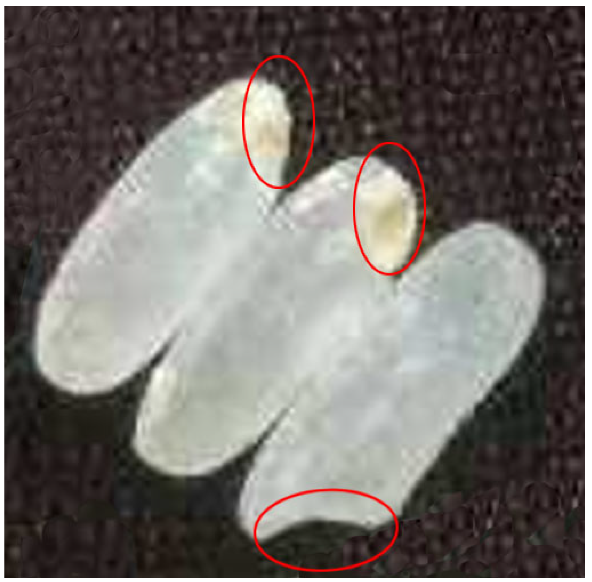 Agriculture 12 00863 g004 550