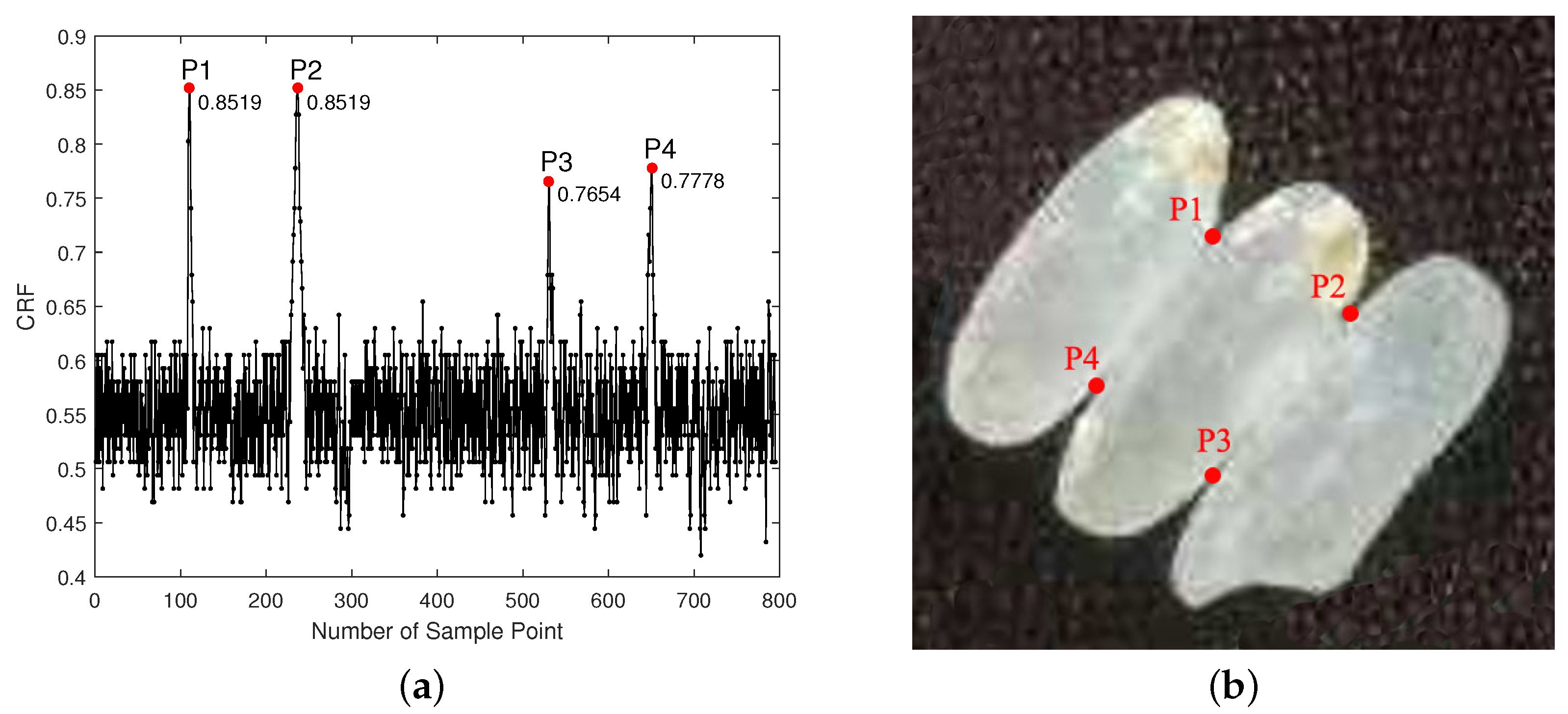 Agriculture 12 00863 g005 550