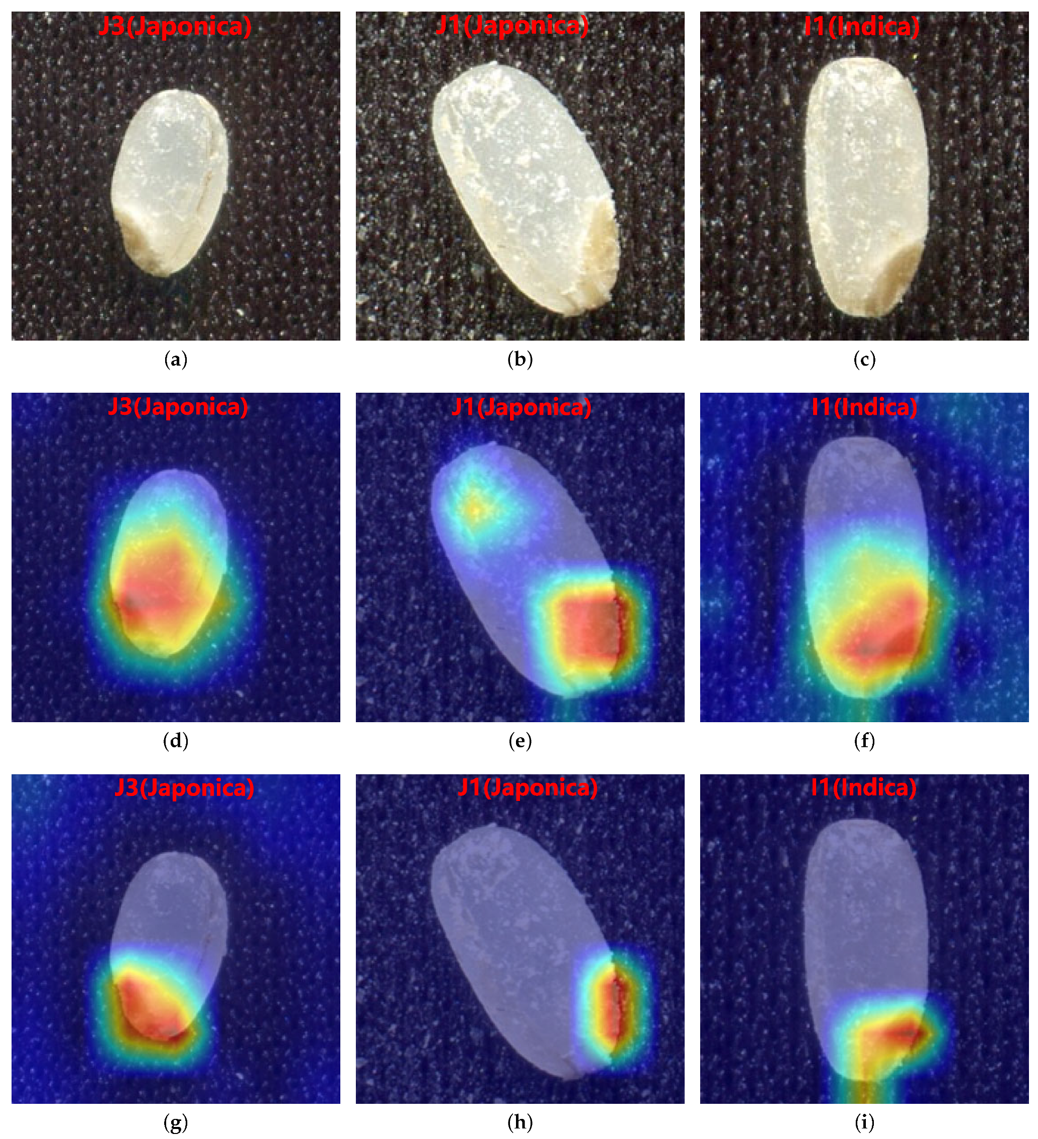 Agriculture 12 00863 g013 550