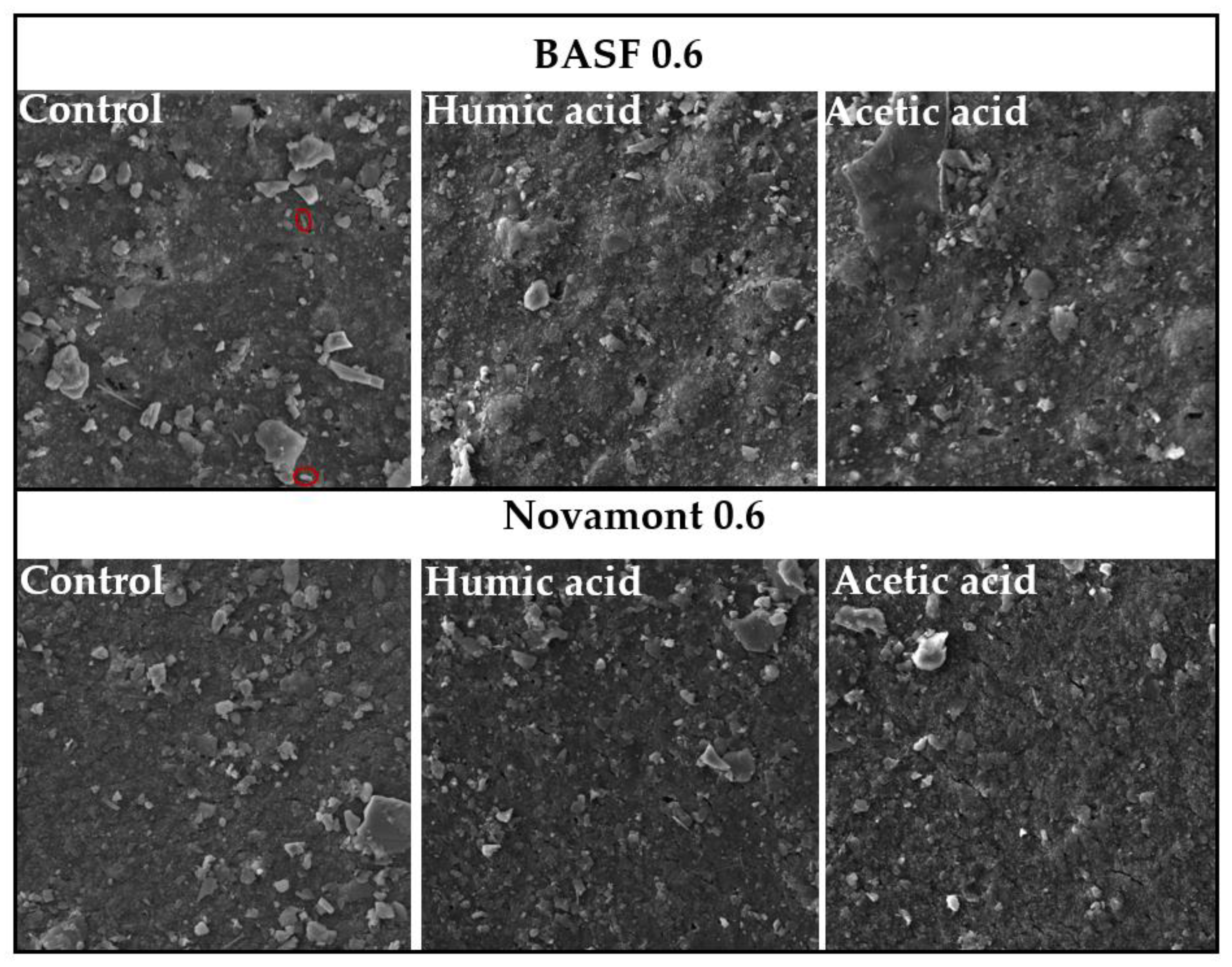 Agriculture 12 00865 g002