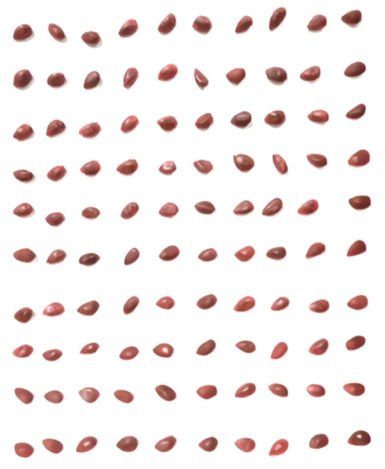 Agriculture 12 00870 g001