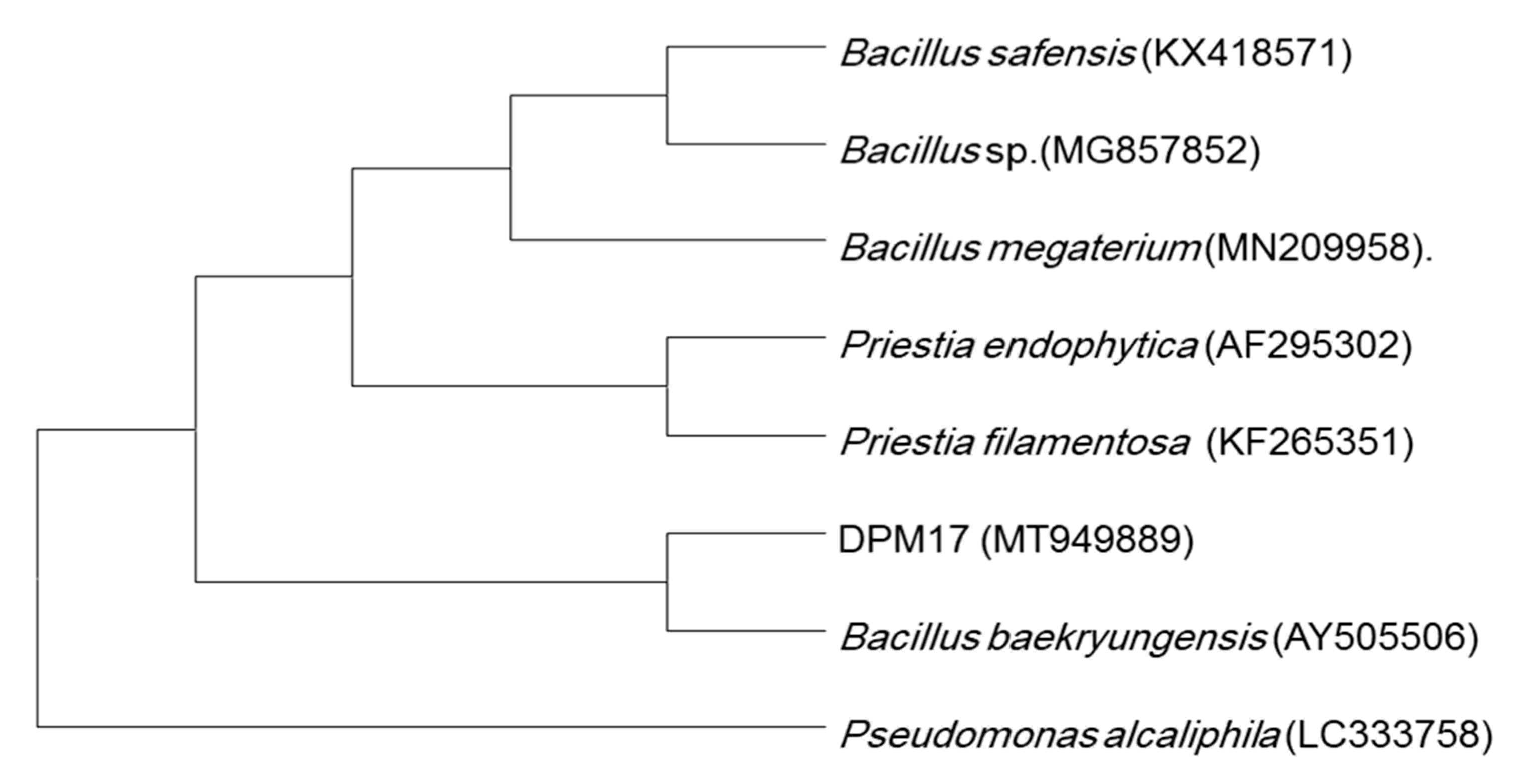 Agriculture 12 00873 g002 550