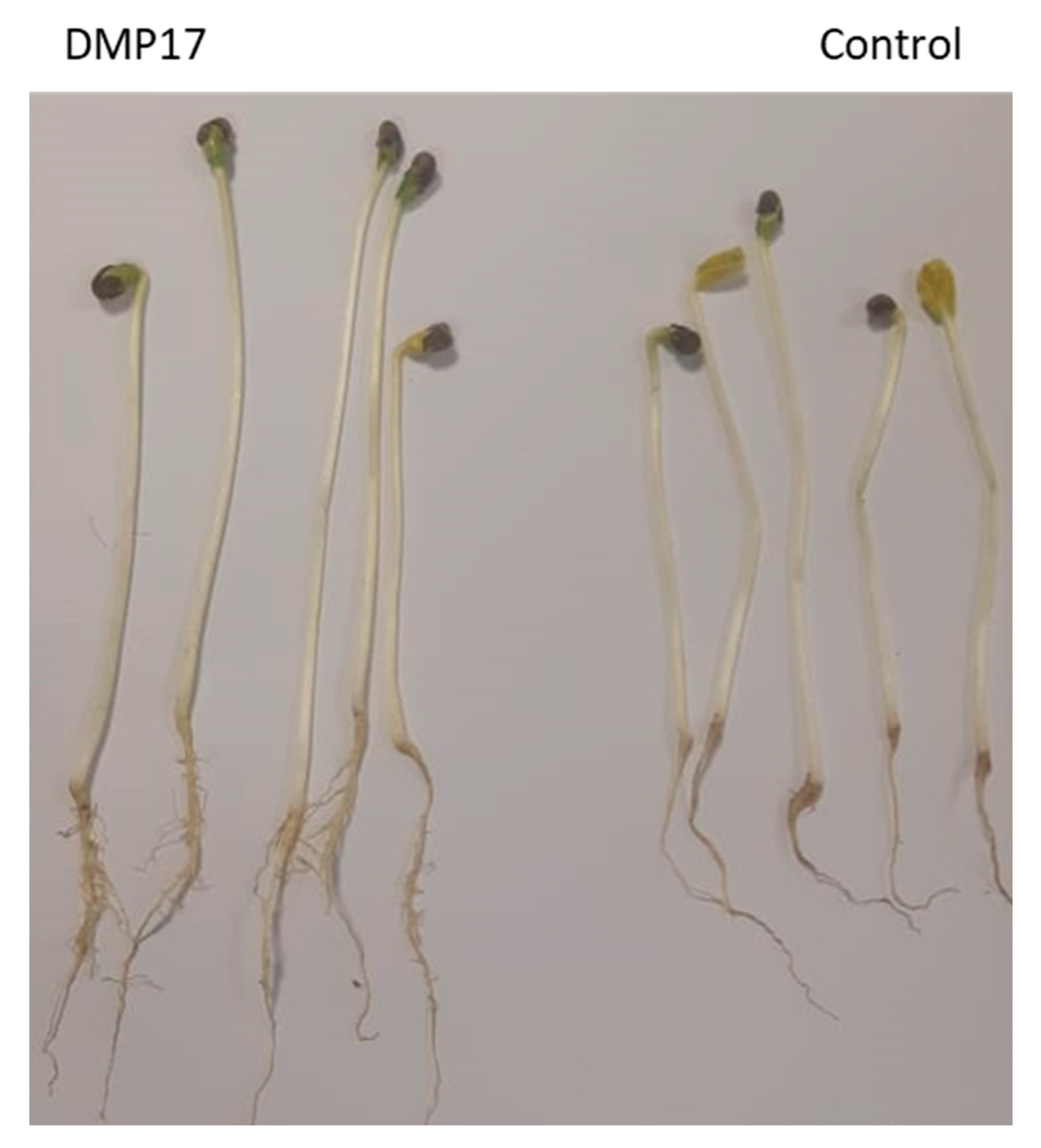 Agriculture 12 00873 g004 550