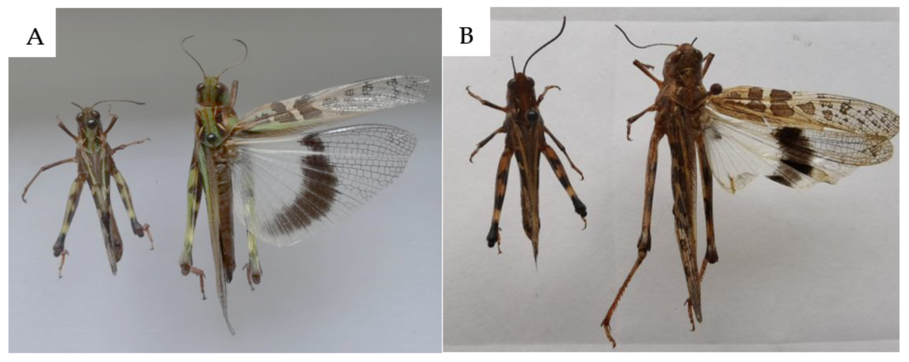 Agriculture 12 00878 g001