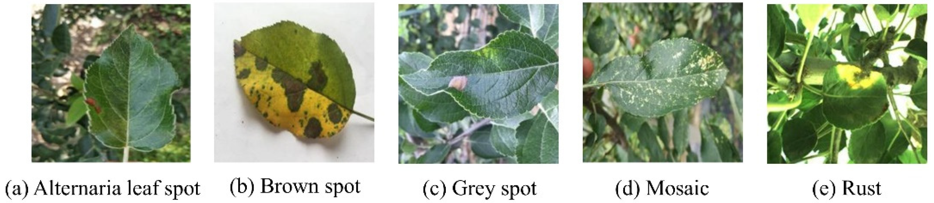 Agriculture 12 00884 g001 550