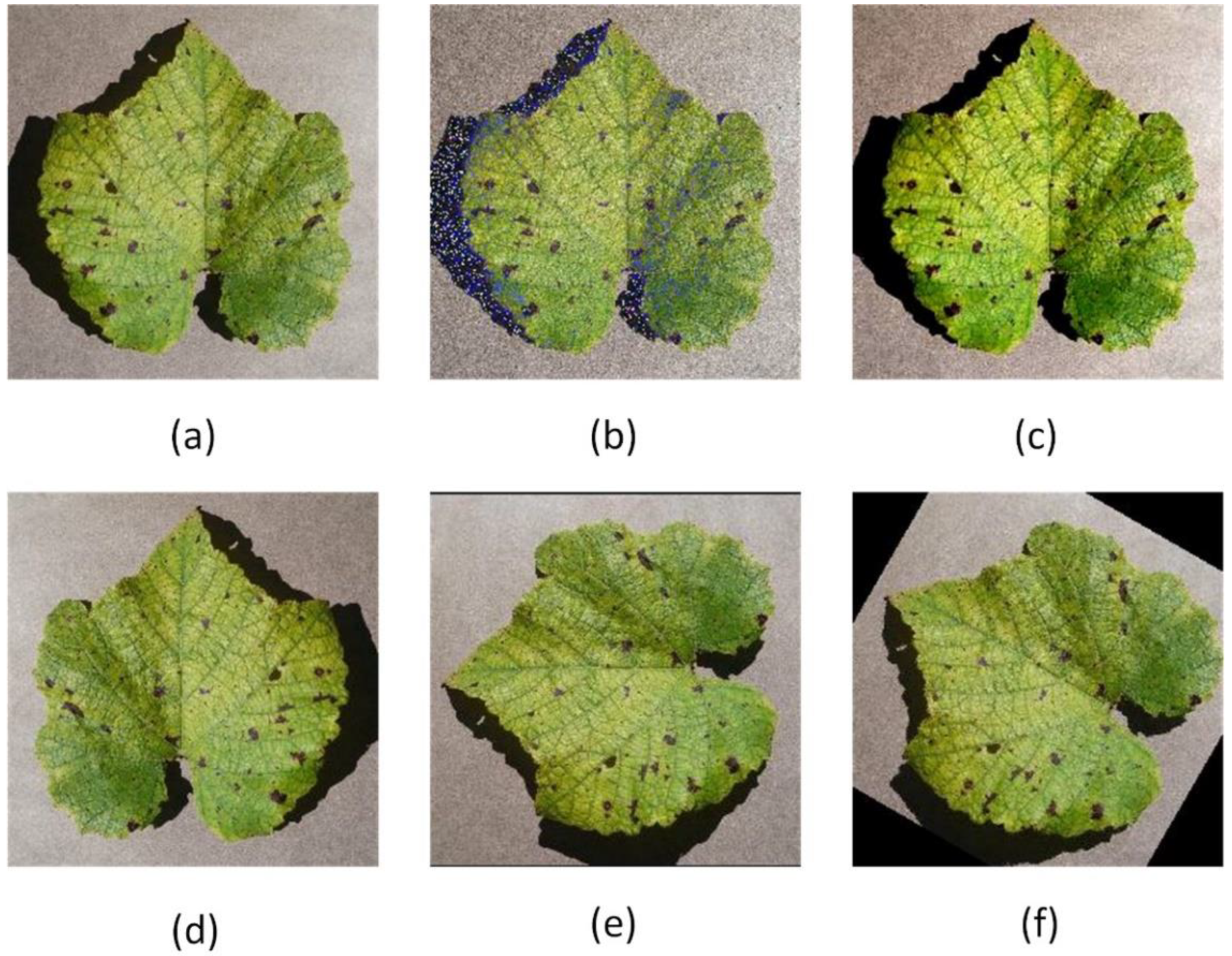 Agriculture 12 00887 g002