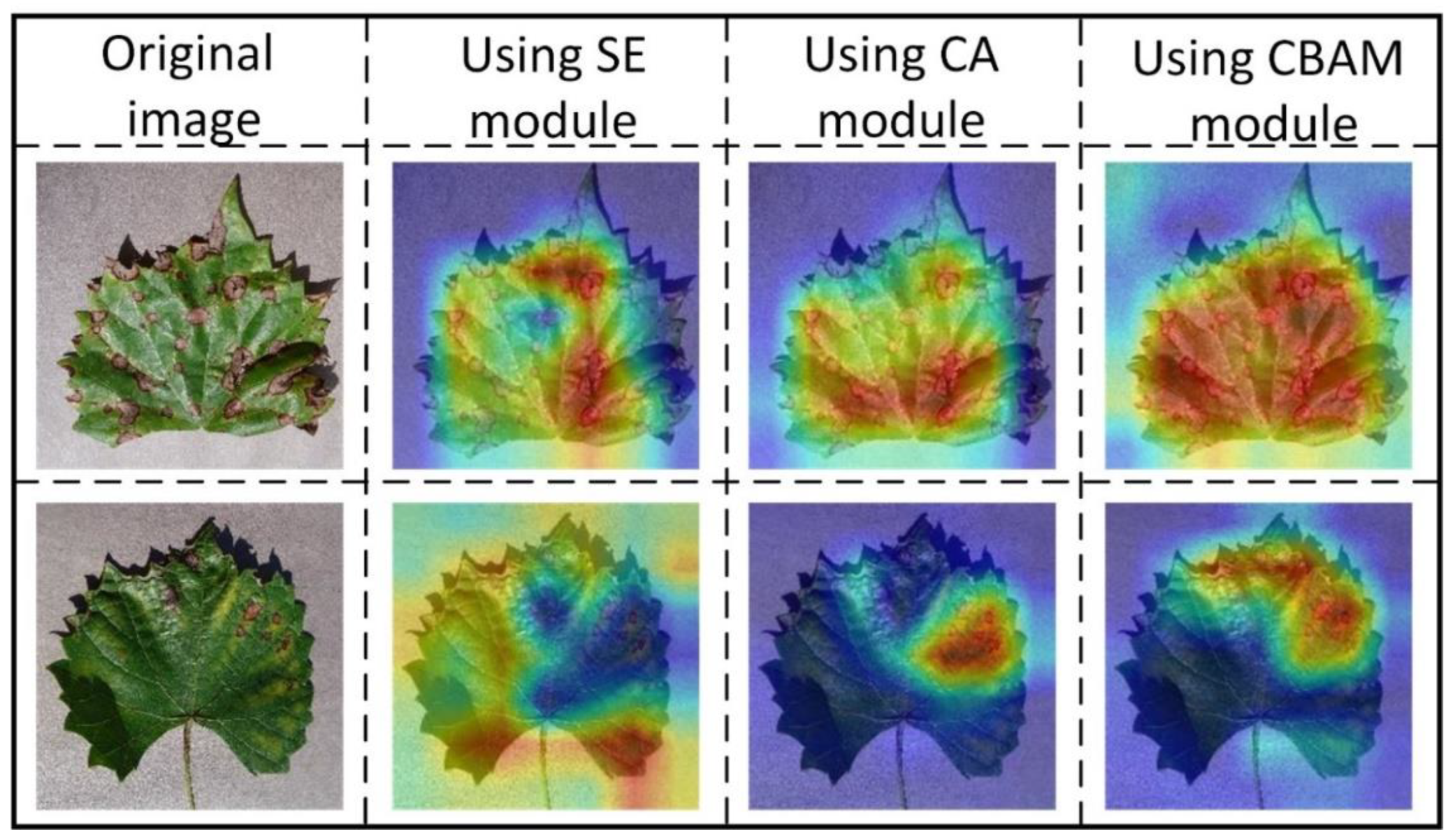 Agriculture 12 00887 g012