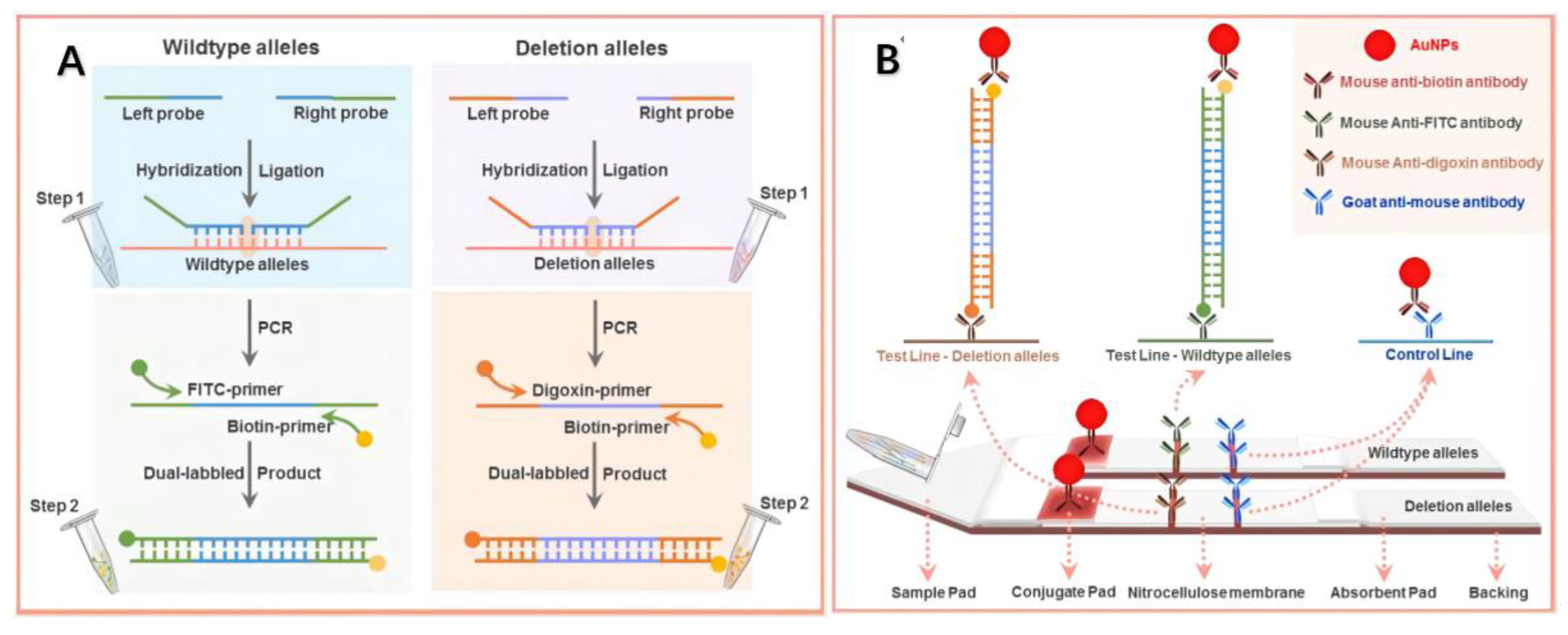 Agriculture 12 00888 g004