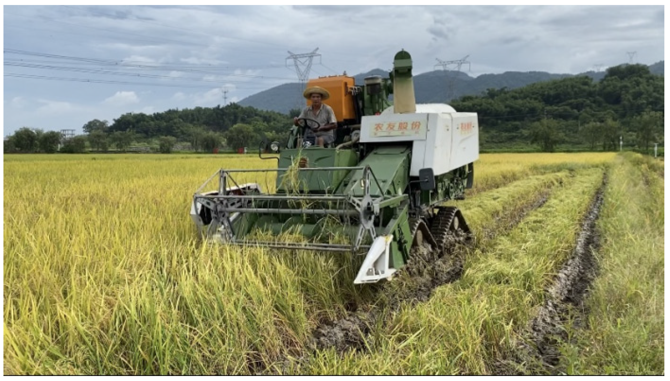 Agriculture 12 00890 g012