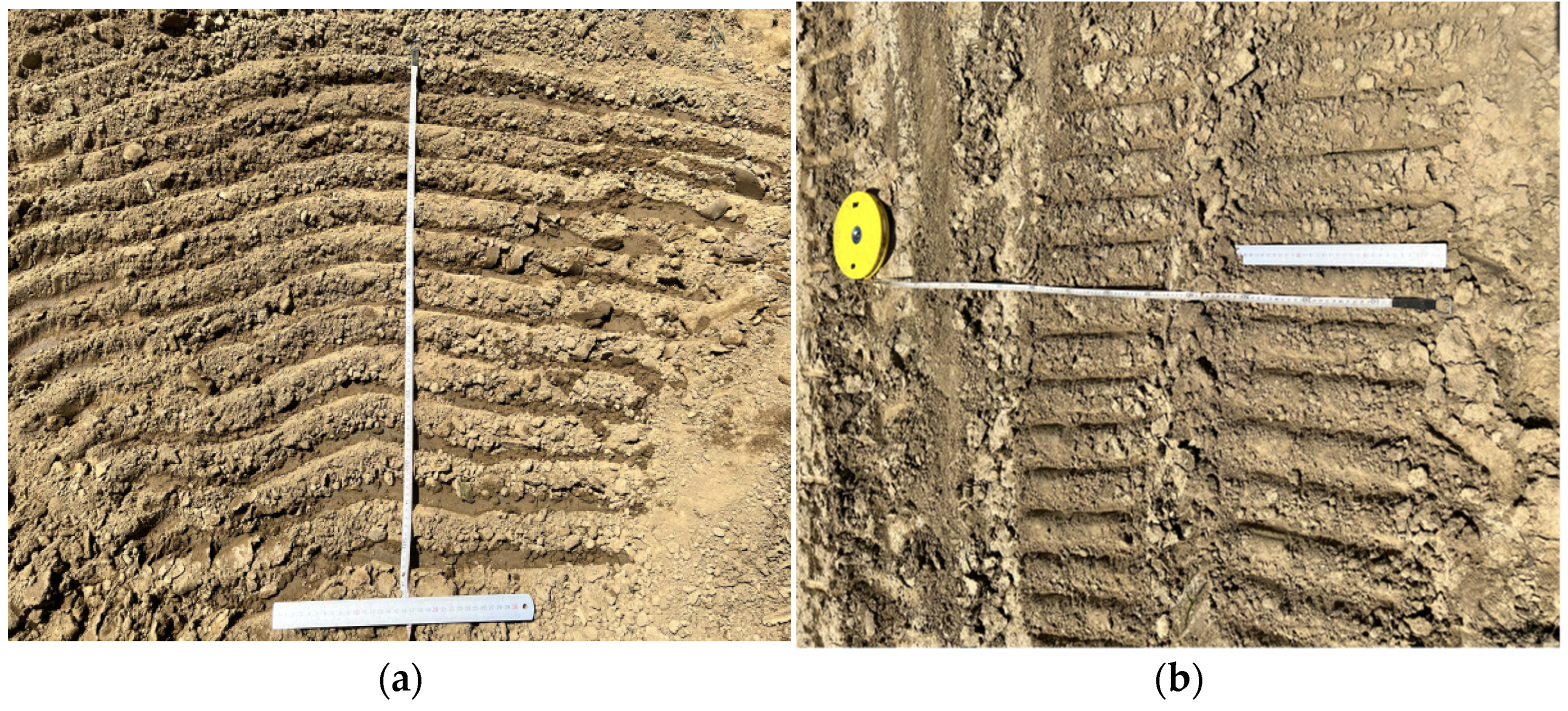 Agriculture 12 00890 g013