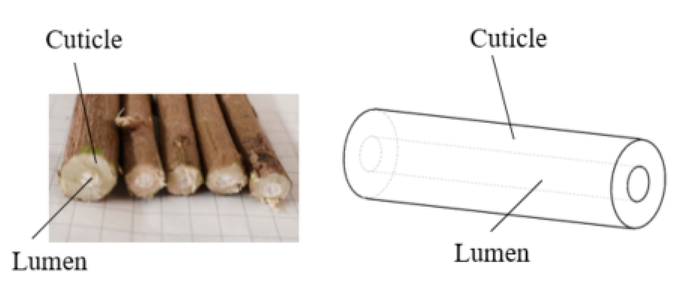 Agriculture 12 00894 g005