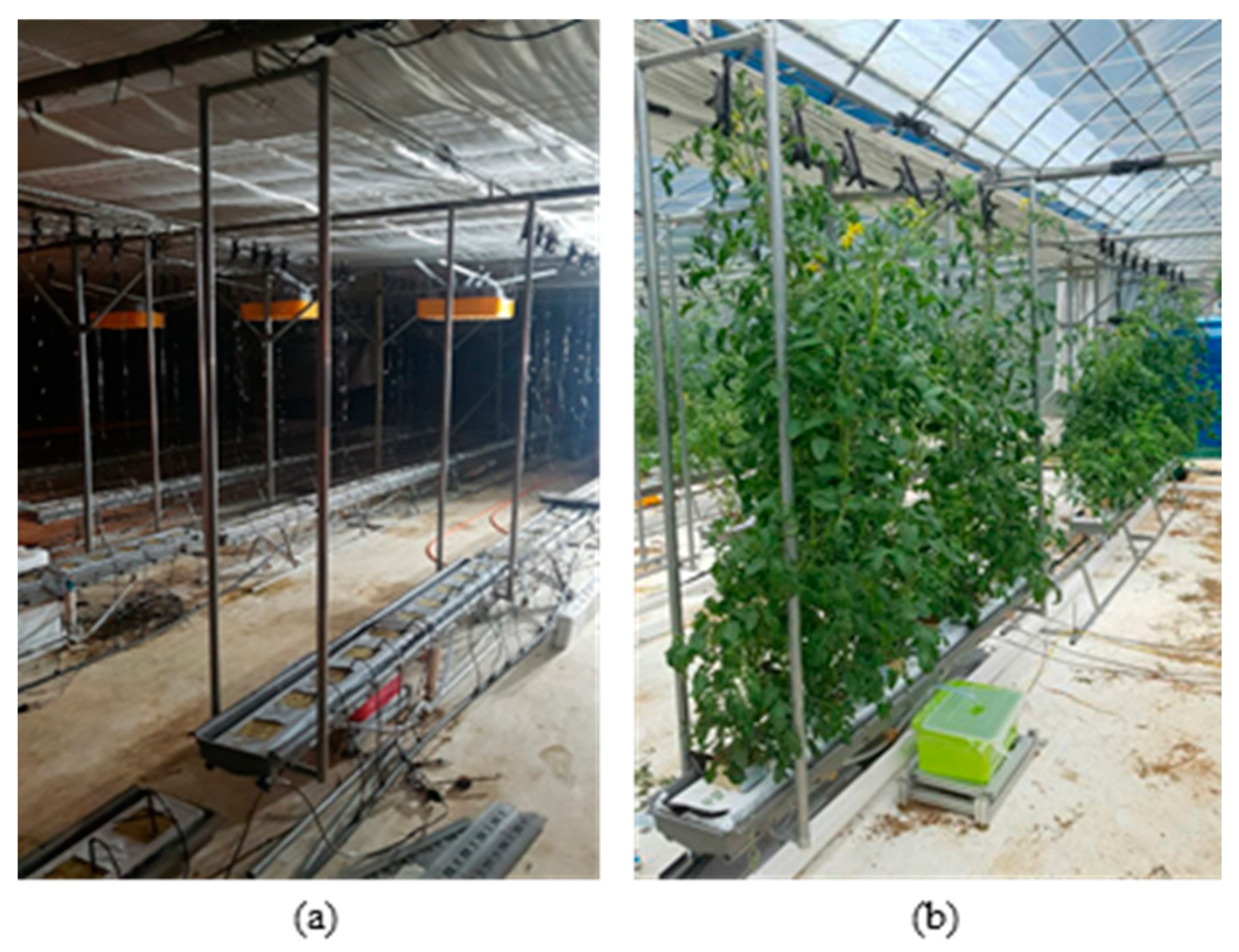 Agriculture 12 00903 g005 550