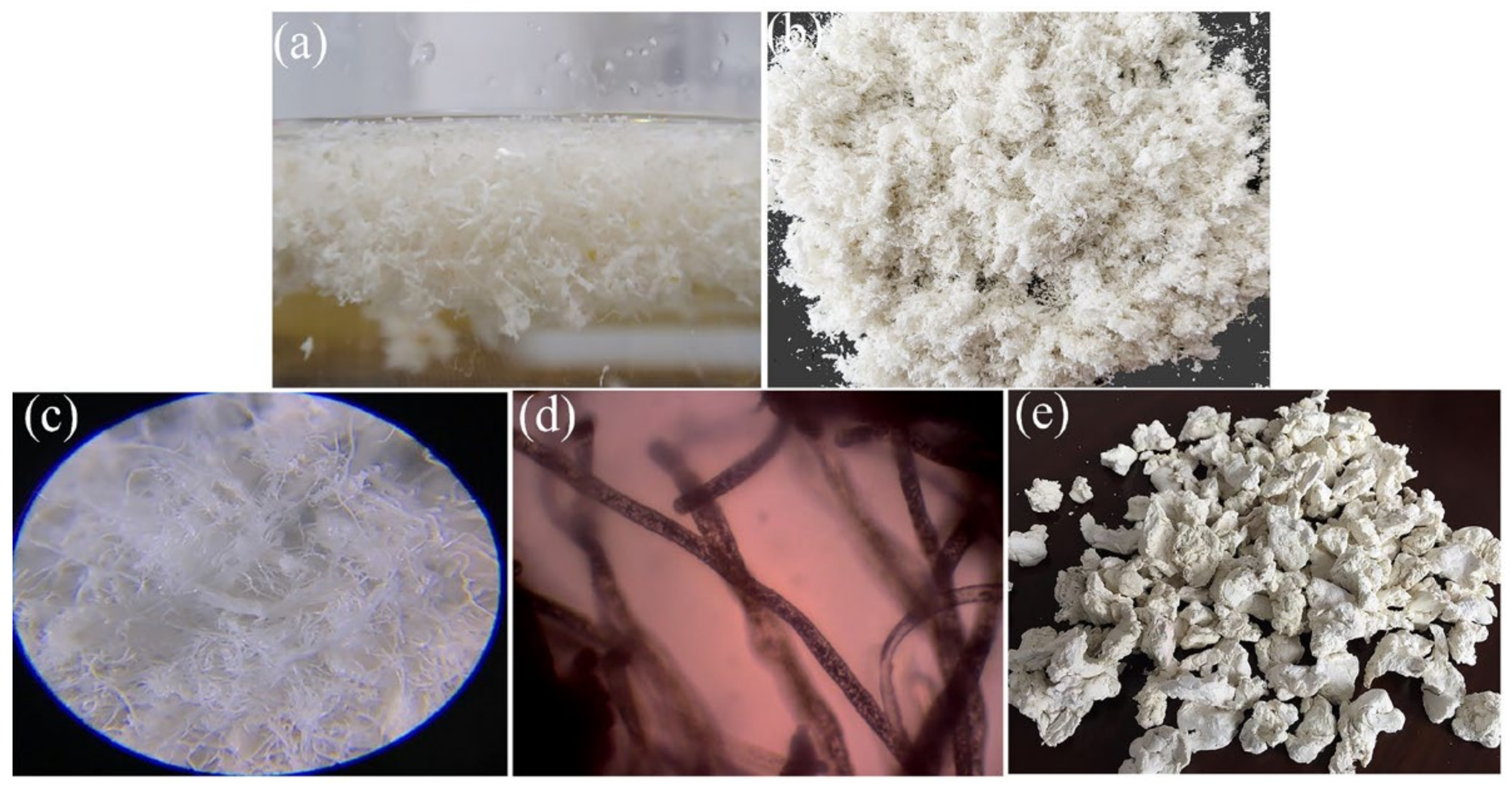 Agriculture 12 00904 g008 550