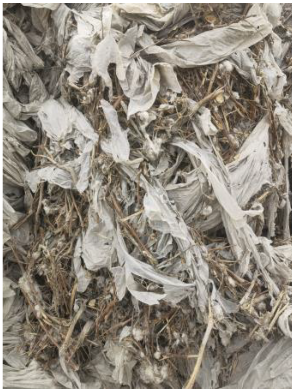 Agriculture 12 00906 g001