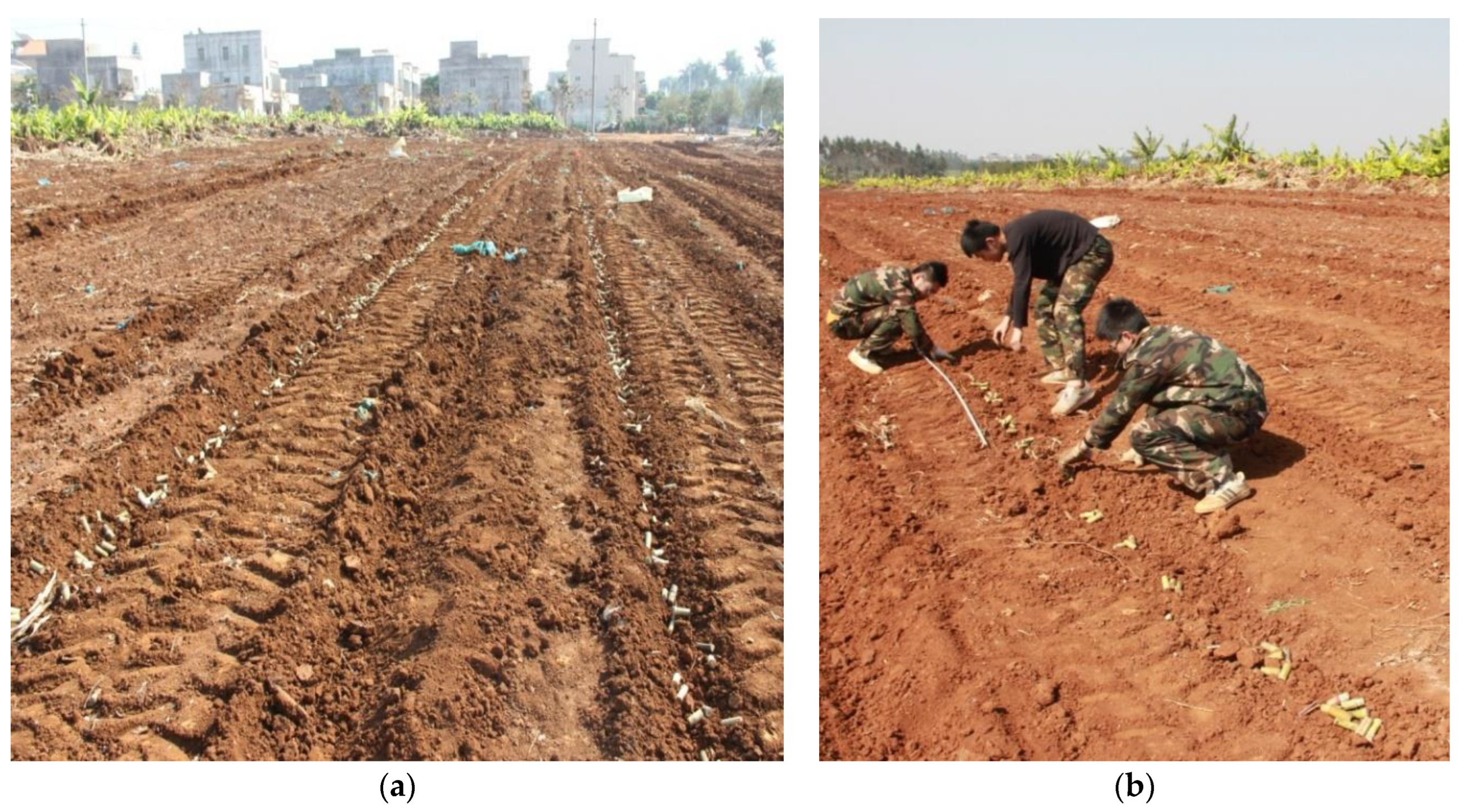 Agriculture 12 00908 g011 550