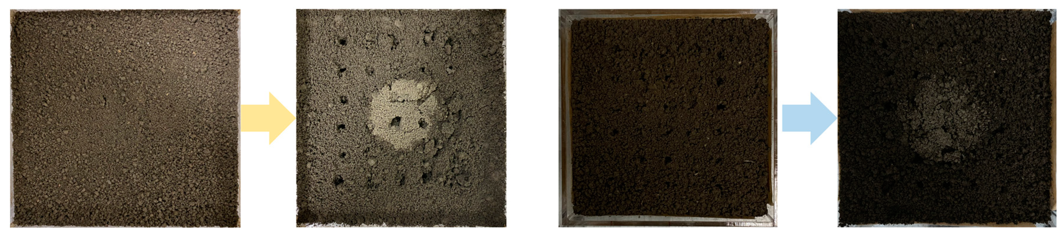 Agriculture 12 00909 g008