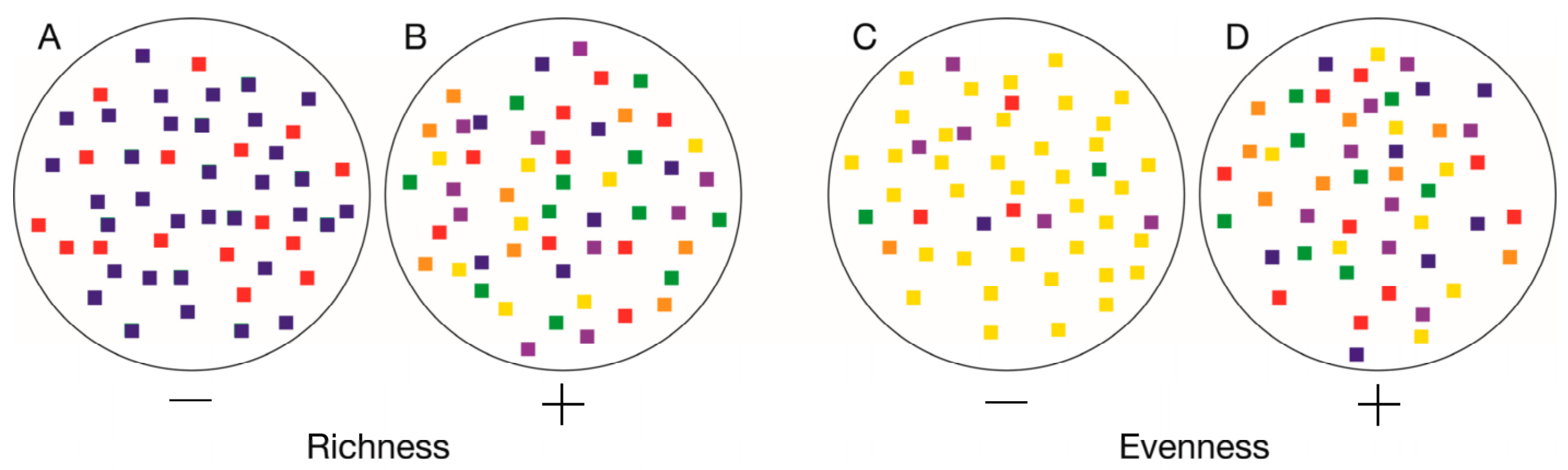 Agriculture 12 00911 g001