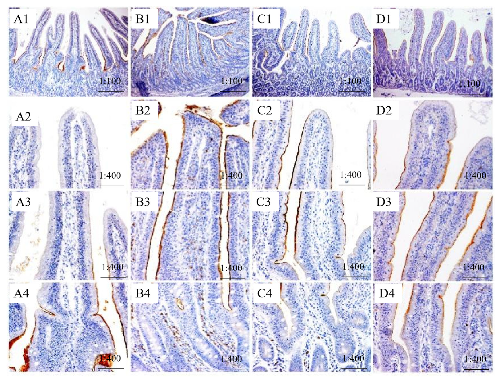 Agriculture 12 00912 g002