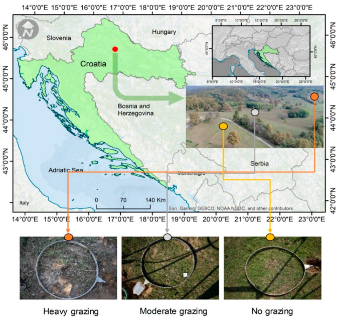 Agriculture 12 00921 g001 Agriculture 12 00921 g001