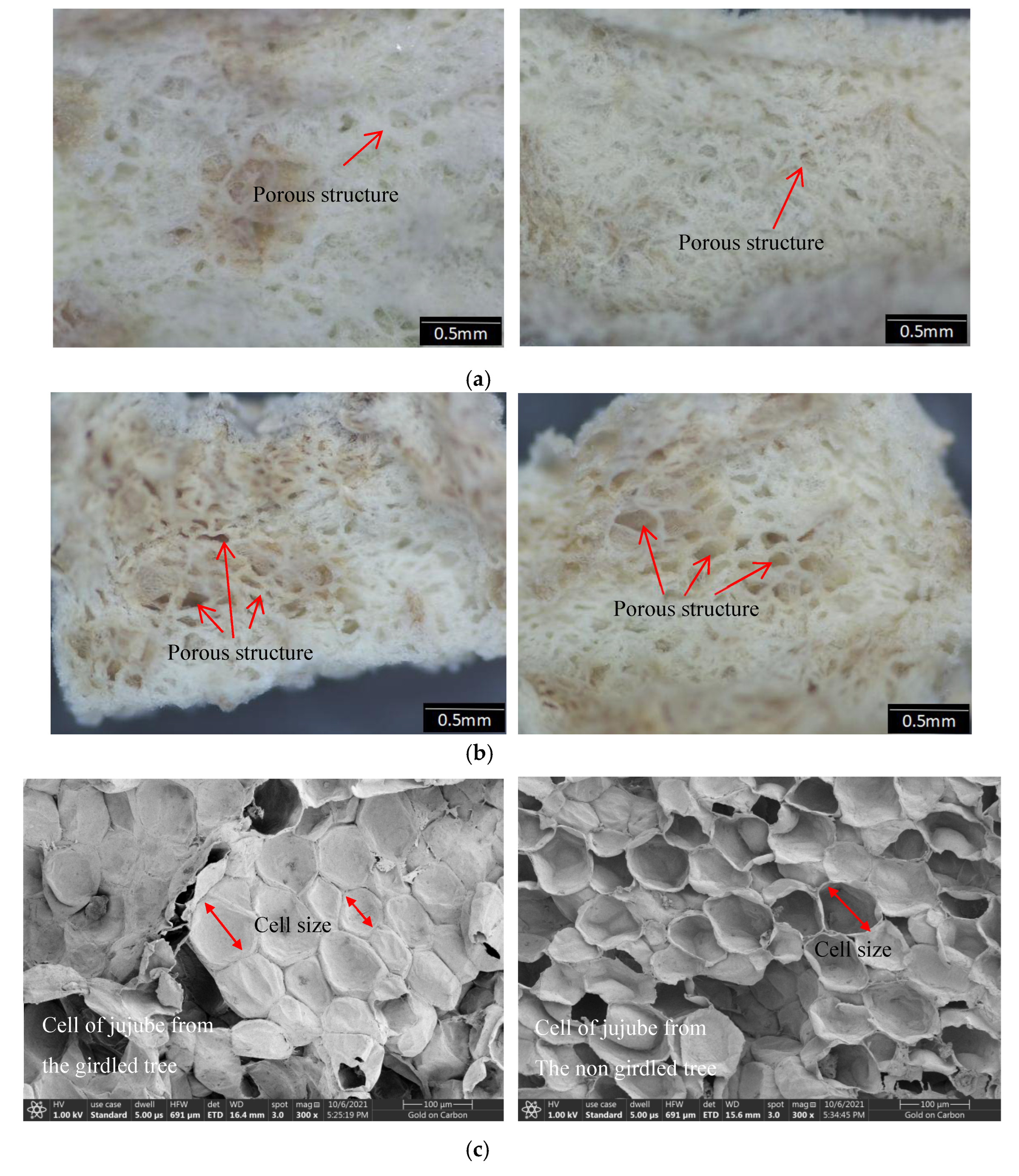 Agriculture 12 00922 g003
