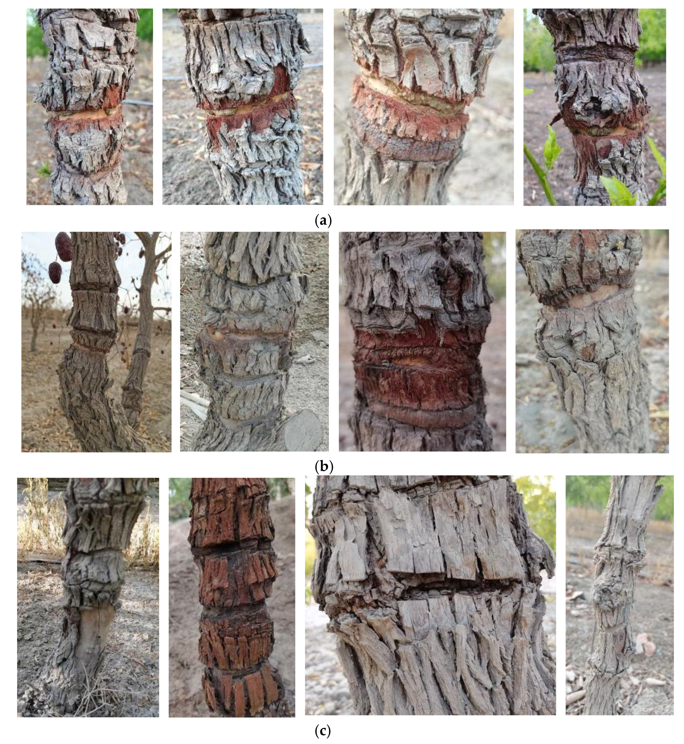 Agriculture 12 00922 g007