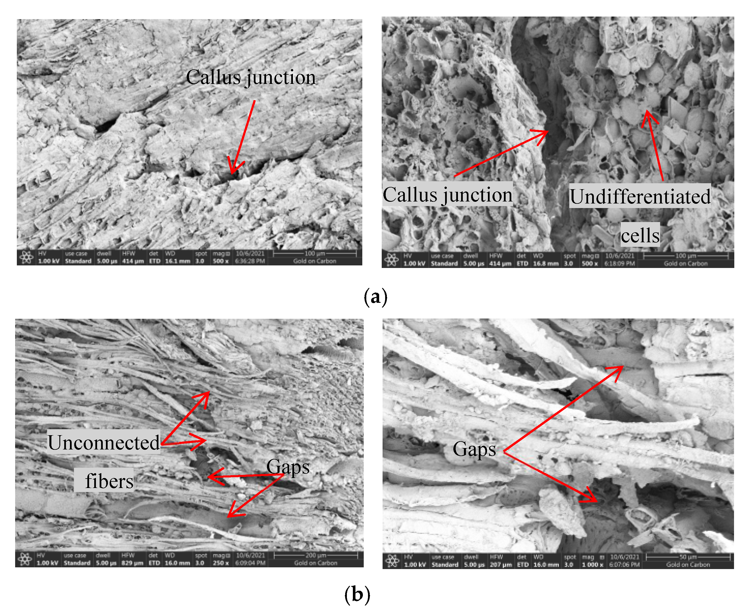 Agriculture 12 00922 g008