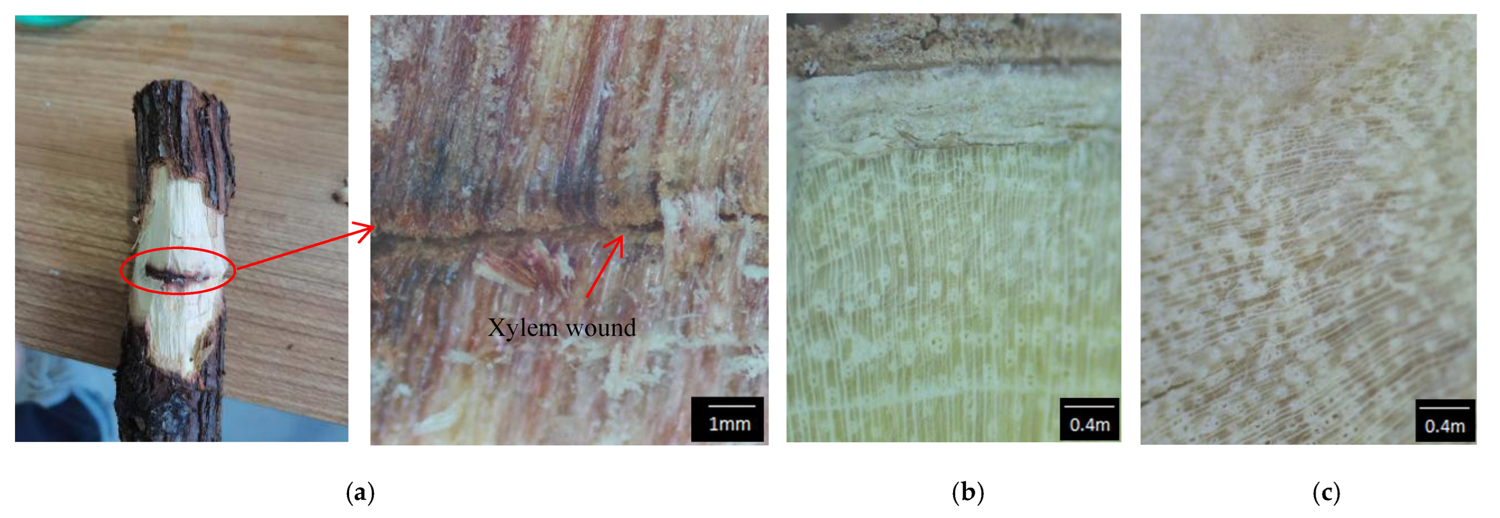 Agriculture 12 00922 g009