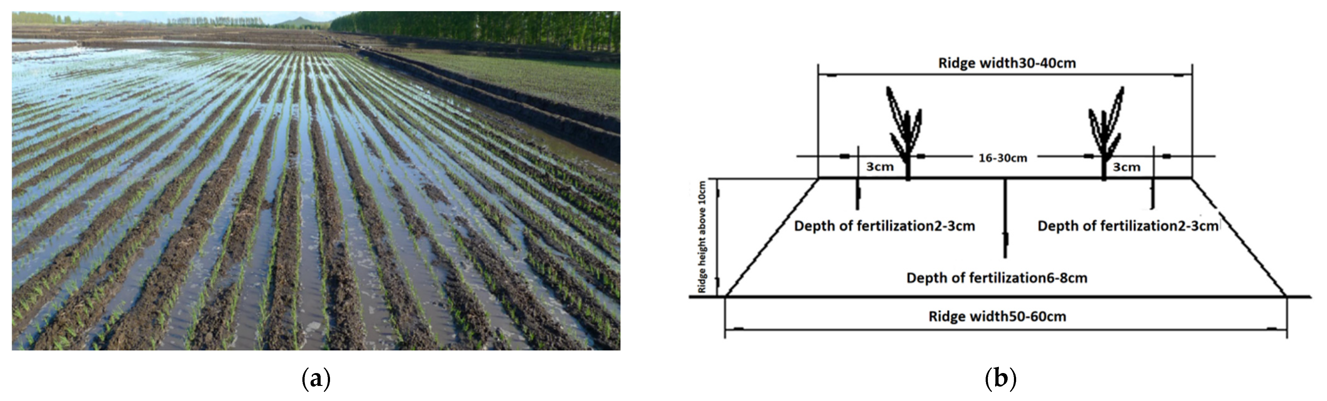 Agriculture 12 00923 g001 Agriculture 12 00923 g001