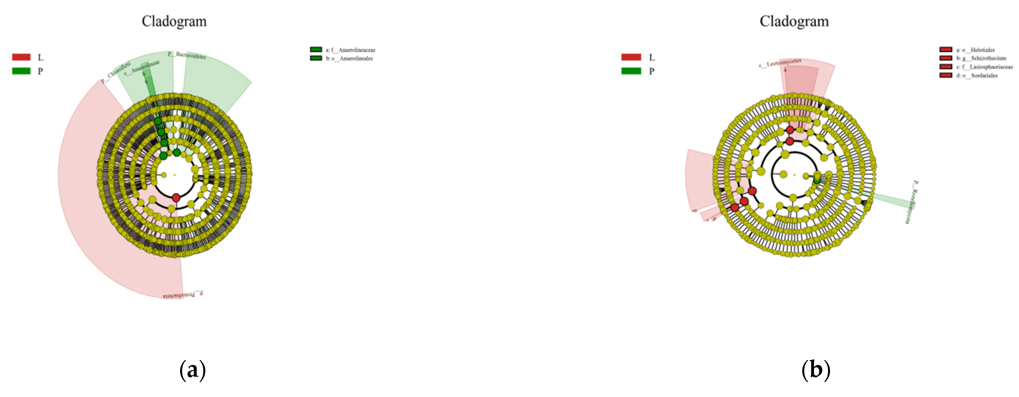 Agriculture 12 00923 g005 Agriculture 12 00923 g005