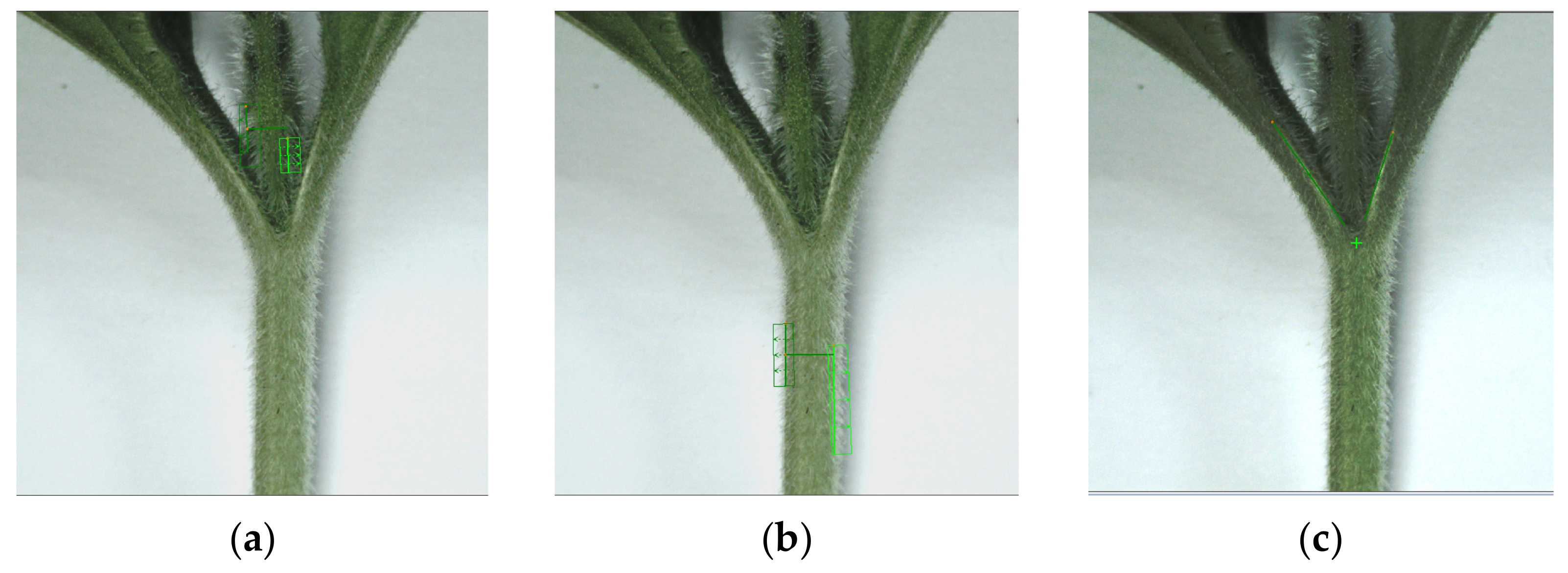 Agriculture 12 00929 g007