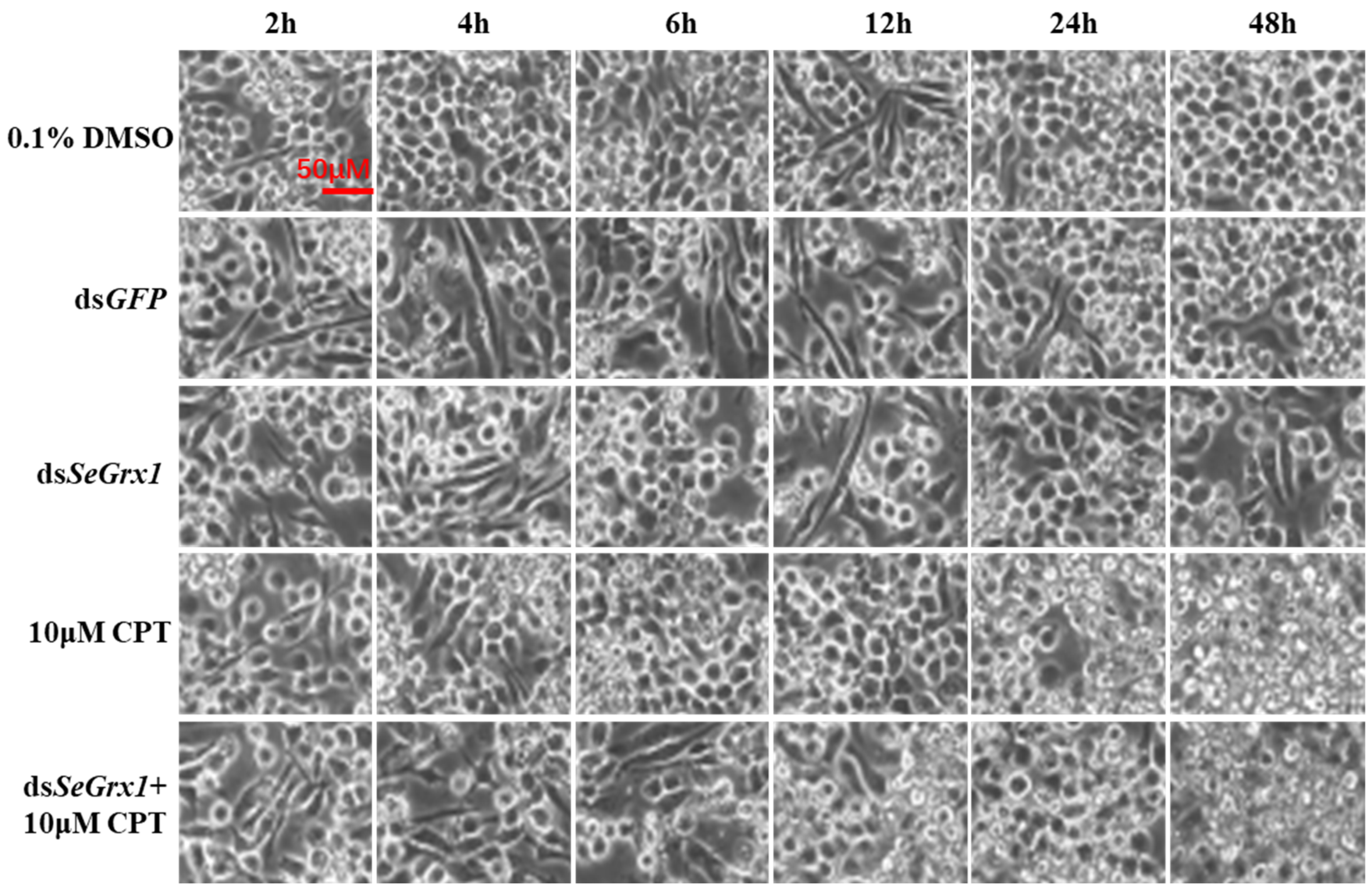 Agriculture 12 00930 g002 Agriculture 12 00930 g002