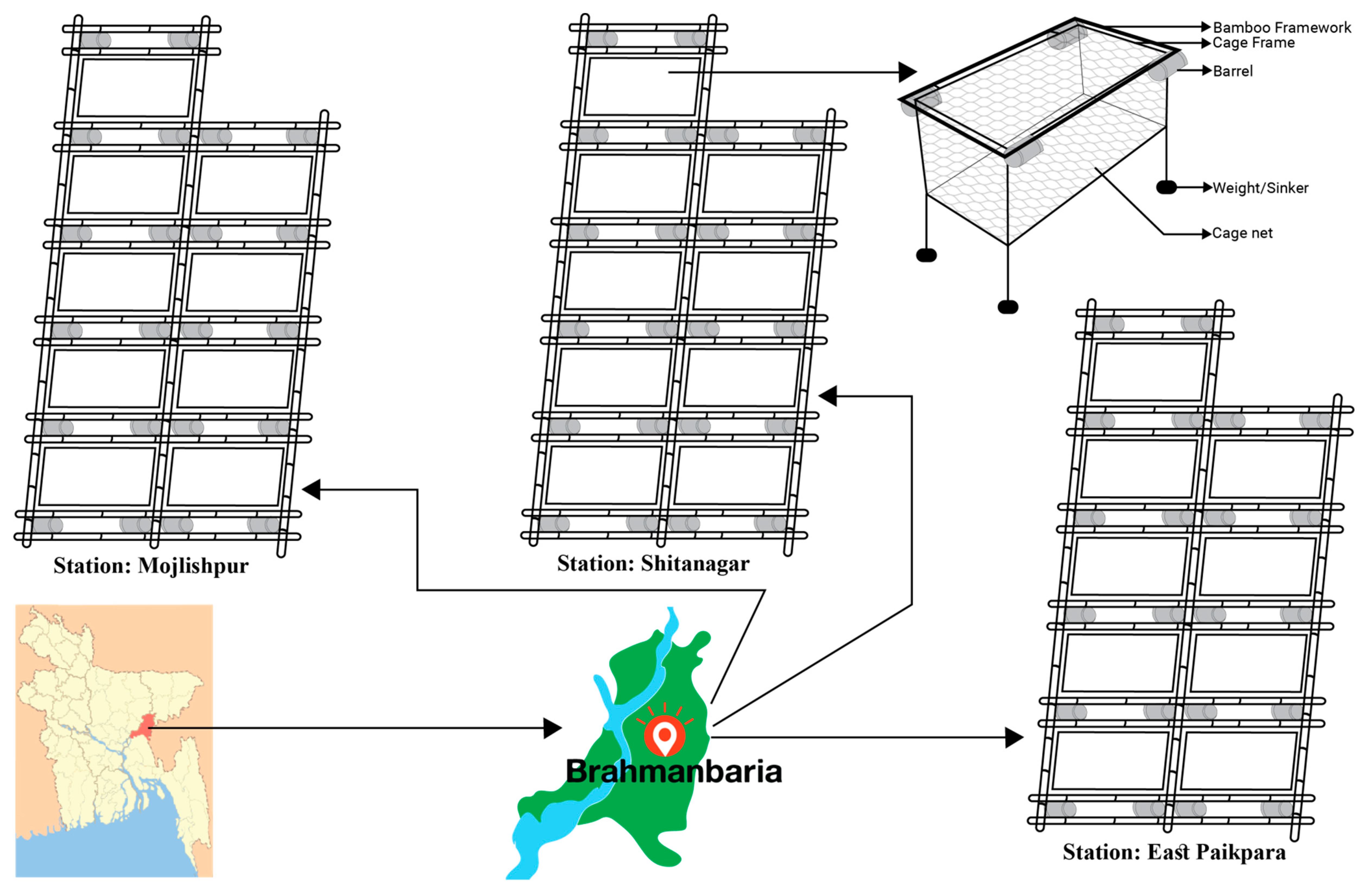 Agriculture 12 00942 g001
