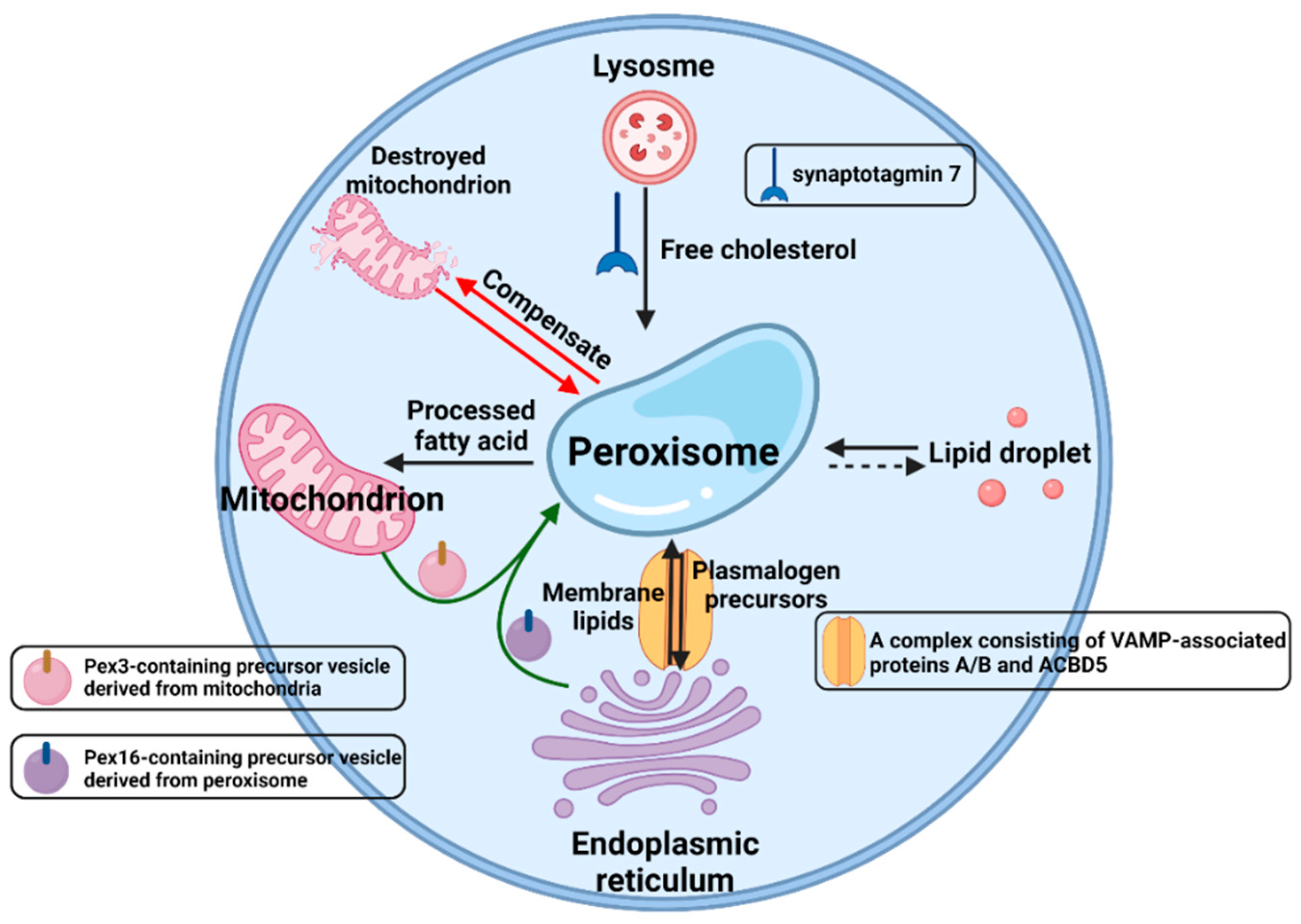 Agriculture 12 00947 g006 550