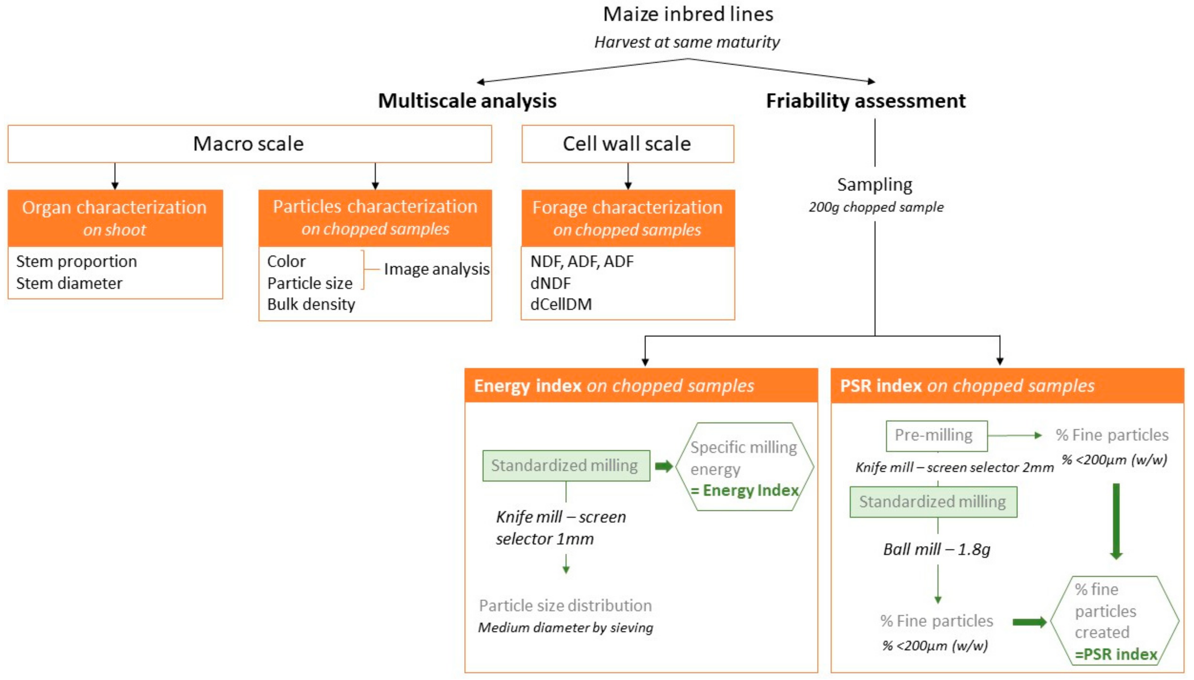 Agriculture 12 00951 g001