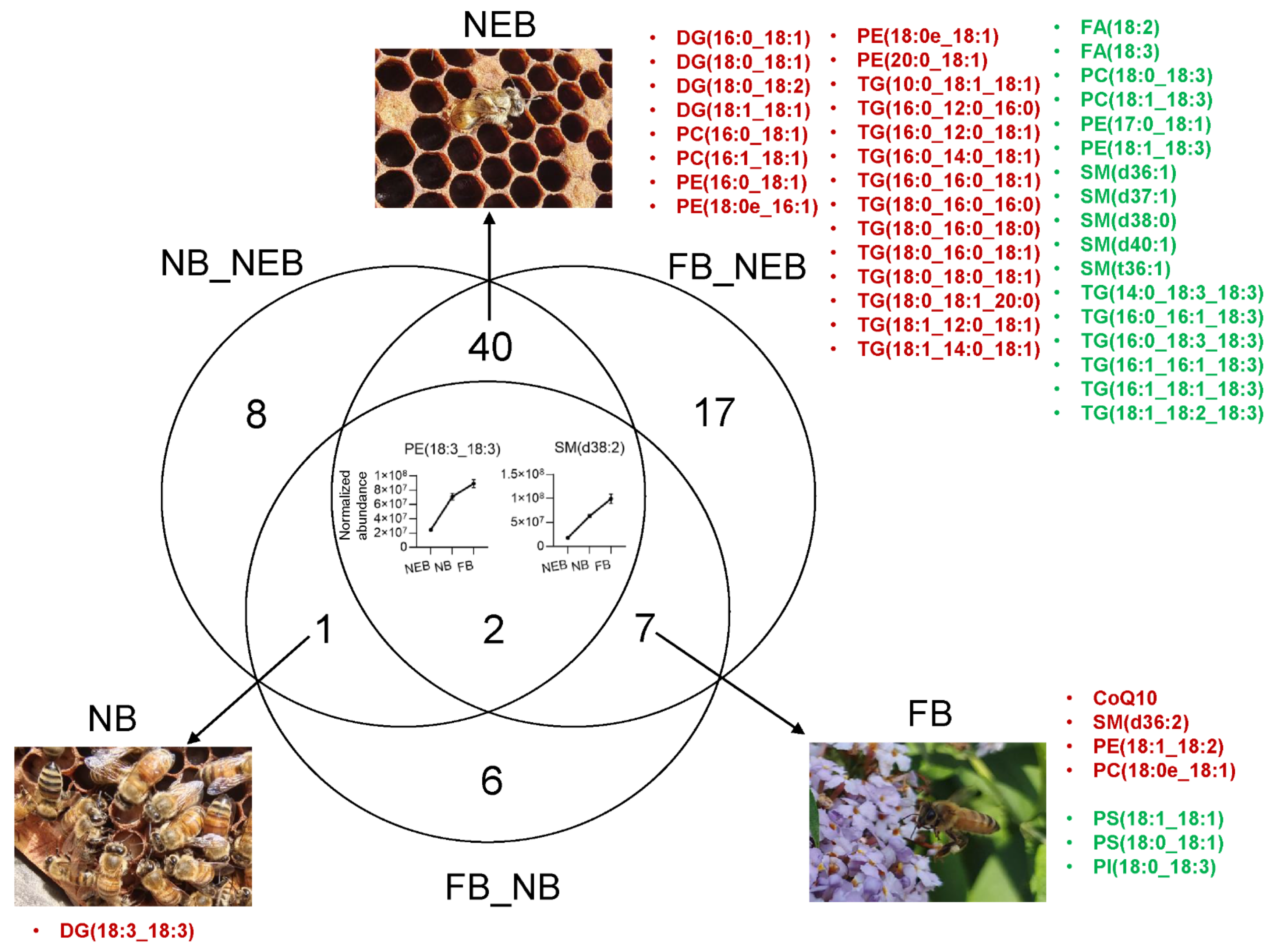Agriculture 12 00952 g004